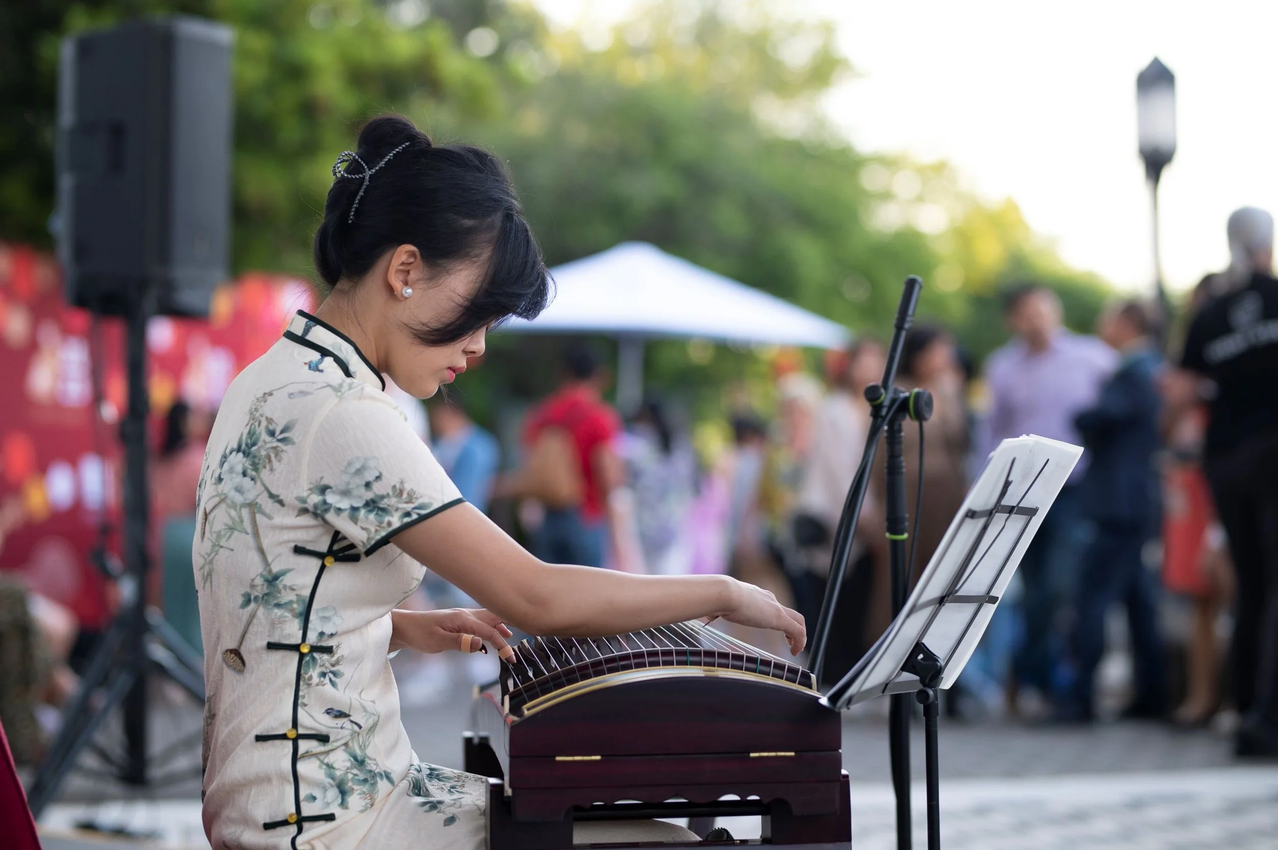 guzheng player for artist bookings https://artist-bookings.com/