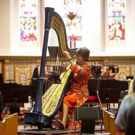 Melbourne Harpist hire | VANESSA global-inspired event performance | Artist Bookings