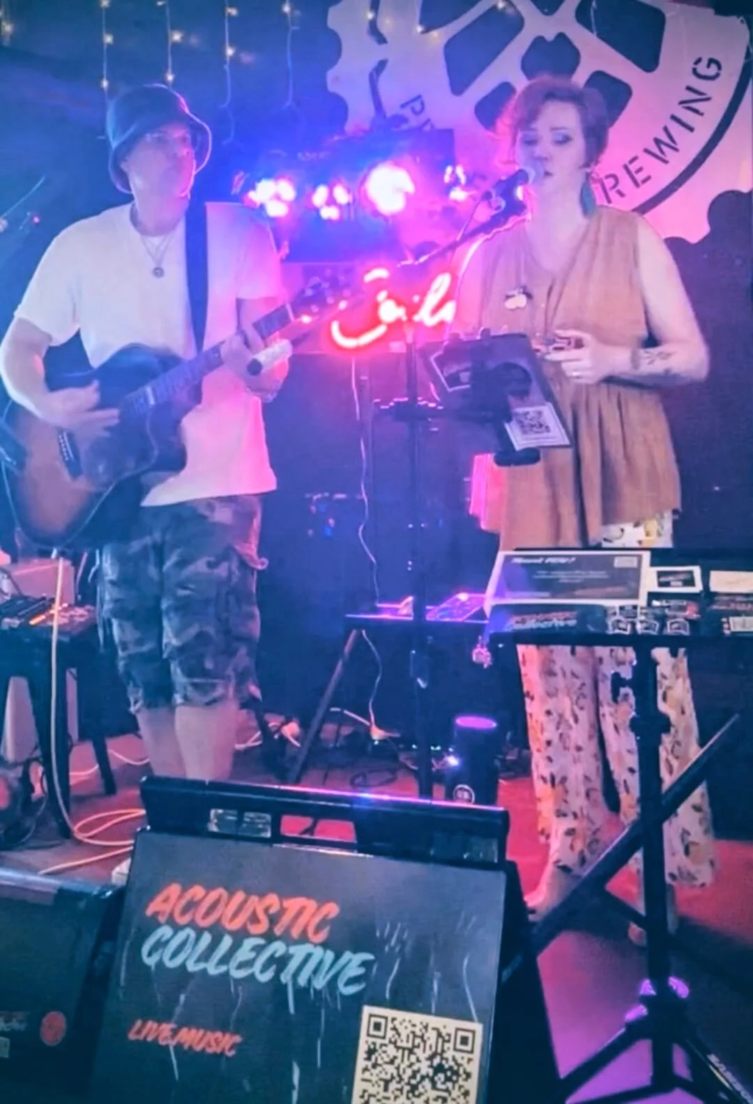 Book expert corporate covers Melbourne | ACOUSTIC COLLECTIVE professional live duo | Artist Bookings