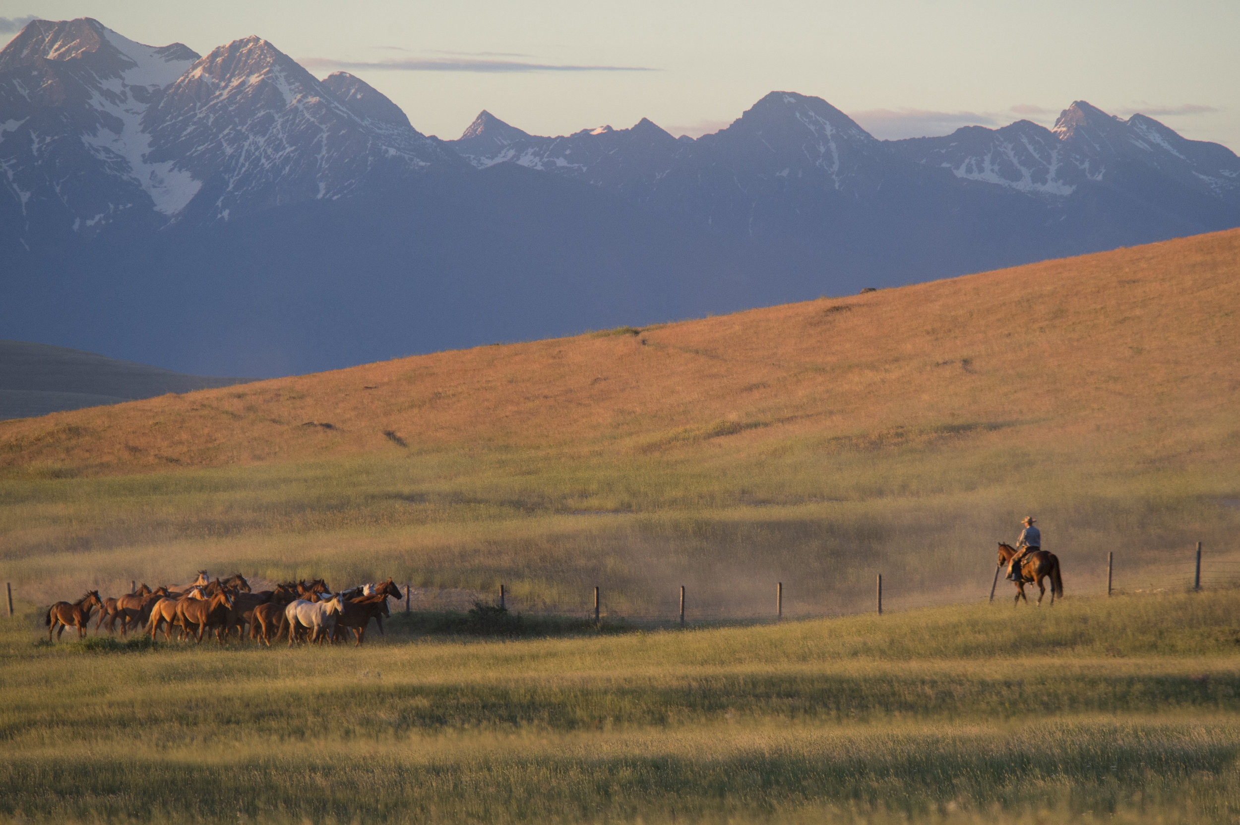 Montana sunrise.jpg