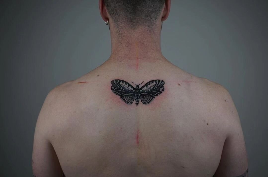 Moth 🦋 by @josemarchioli 
Bookings Open
.
.
#tattoo #vancouvertattoo #vancouverart #ttt #タトゥー #イラスト #yvr #moth #mothtattoo #flashtattoo #bebopink