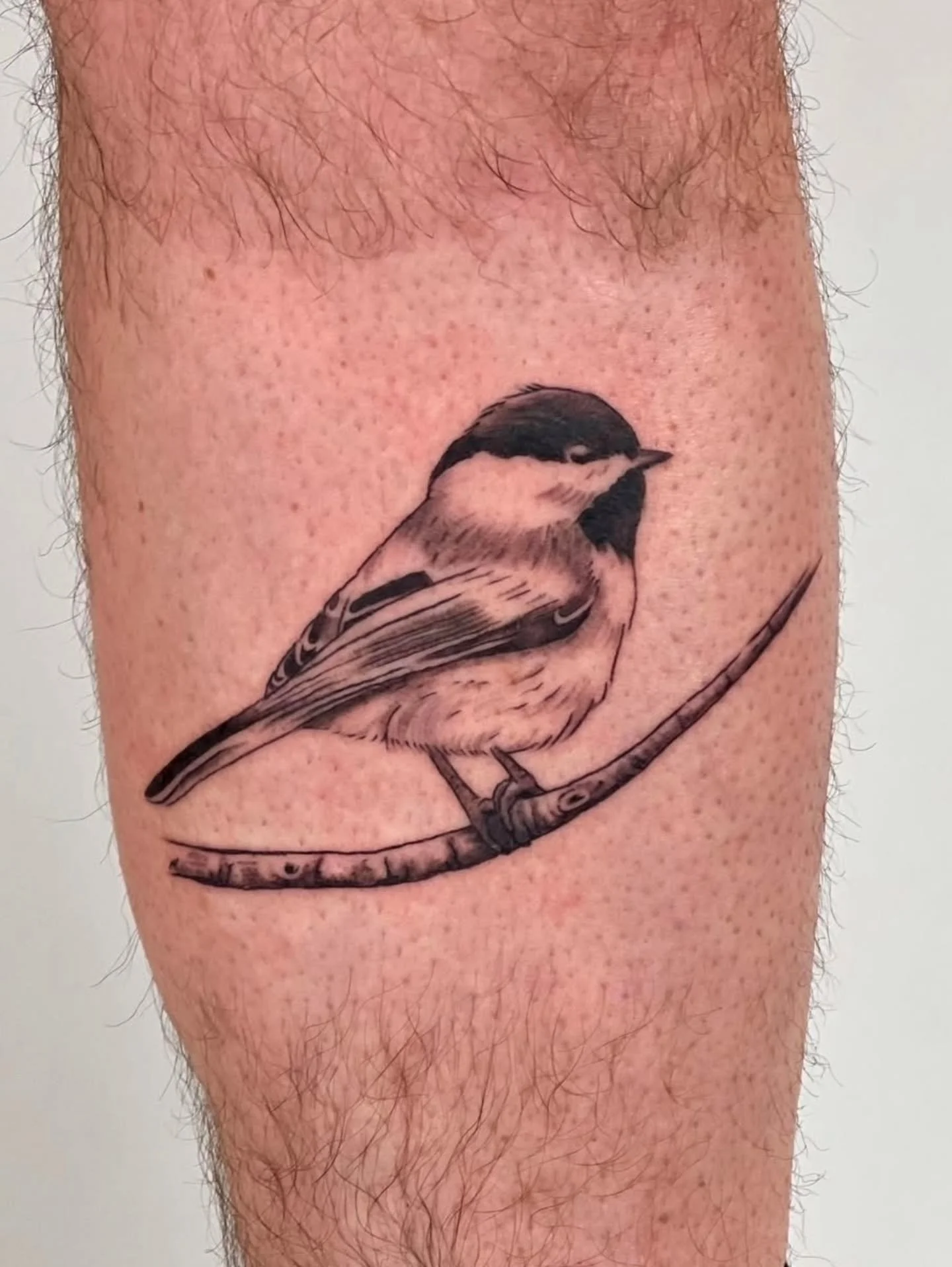 The cutest birdies 🐦 by @statlew_ 
.
Upcoming: friday 13th x valentine's flash day - Feb 13 + 14! 
.
.
#tattoo #birdtattoo #vancouvertattoo #vancouverart #yvr #vancouvertattooartist