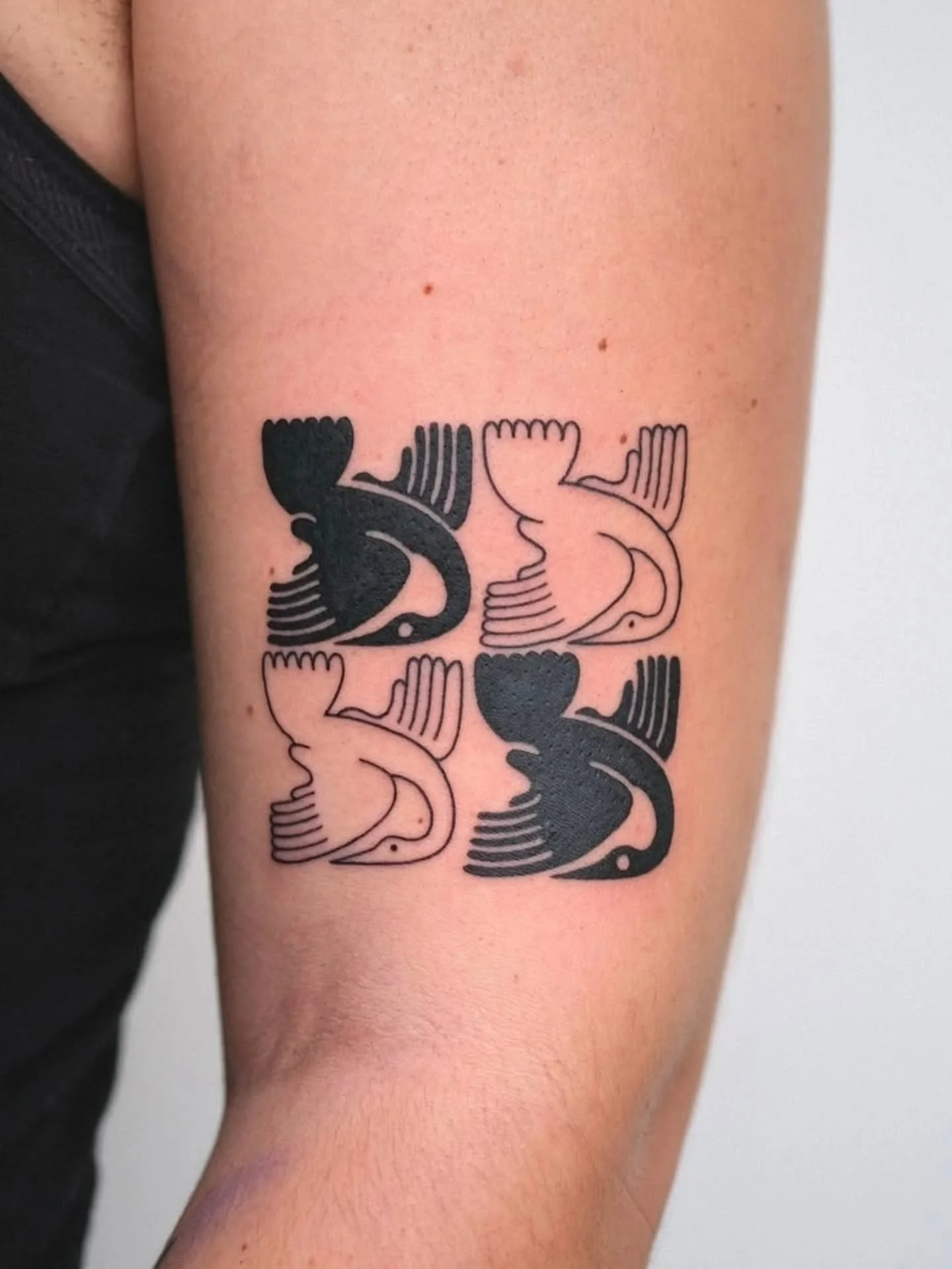 Birdies 🕊🕊 by @zik_tats 
.
Next Month Event: Drawing Night! (TBA)
.
.
#vancouvertattoo #vancouverart #birds #birdtattoo #tattooflash