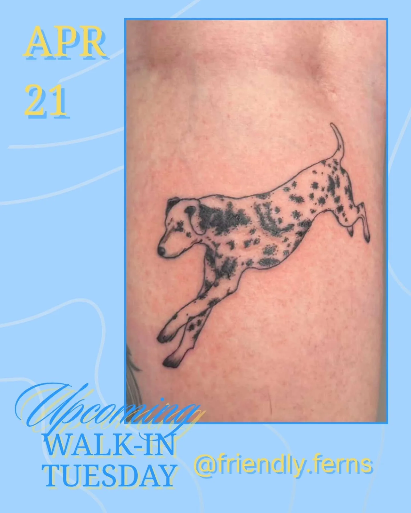 Next Walk-in Tuesday Artist: @friendly.ferns on Apr 21 also has a new flash sheet! 
.
👉 we host walk-ins every Tueaday with a different artist each week! 
.
📌 Upcoming: 
April 25 - Signal / Bloom live music night, 7pm, 3283 Main St.
.
.
#tattoo #va