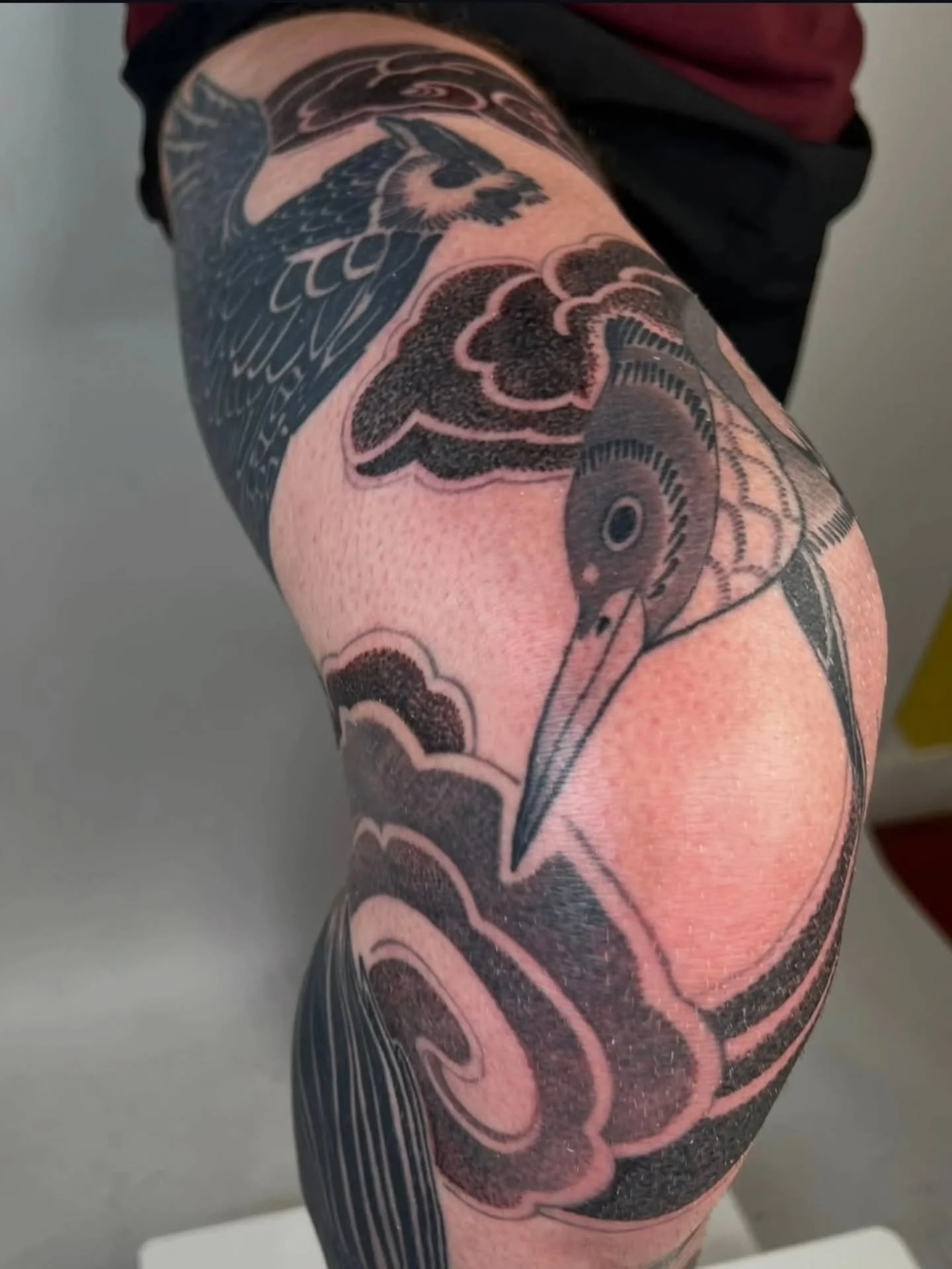 Big WIP 🦅 by @jjjojo____ 
Booking available! 
.
.
#tattoo #birdtattoo #bird #vancouvertattoo #vancouverart
