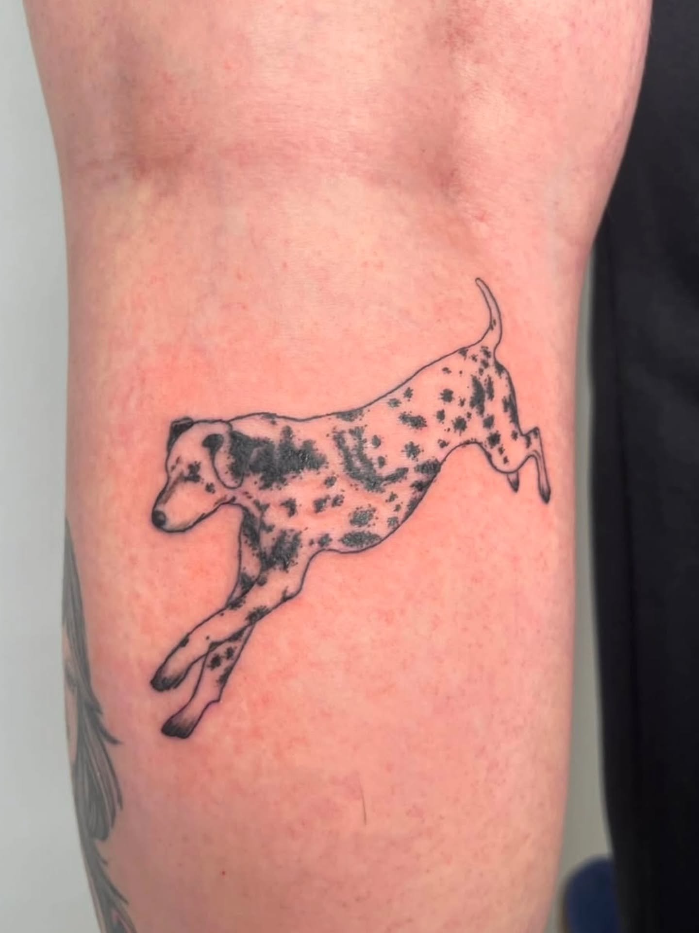 Dalmatian 🐶 by @friendly.ferns 
Booking available!
.
We have a postcard fundraiser running until June 7, check it out!
.
.
#dalmation #dogtattoo #vancouvertattoo #vancouverart