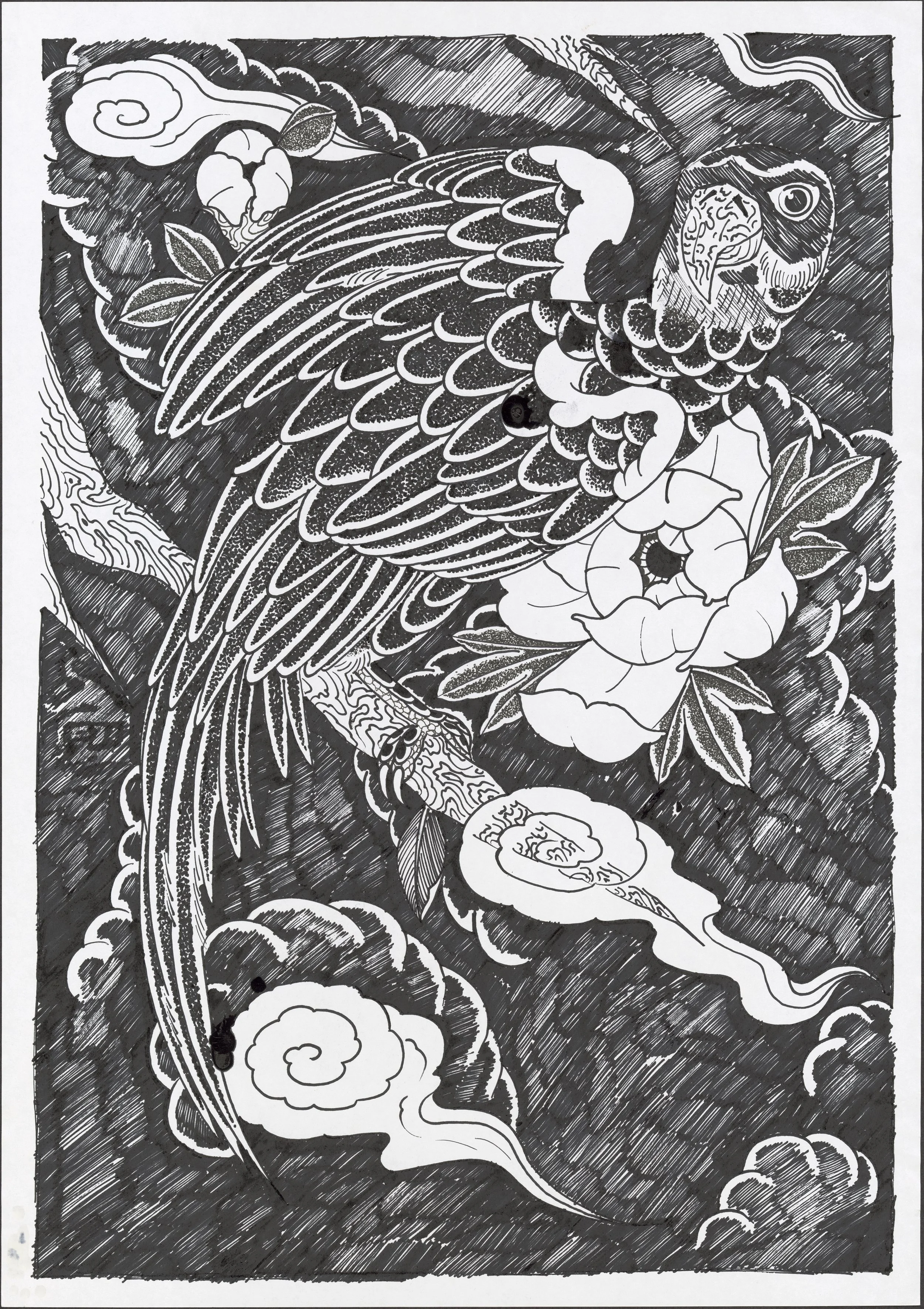 02B_40mb_300 PPI_RET_FINAL.jpg