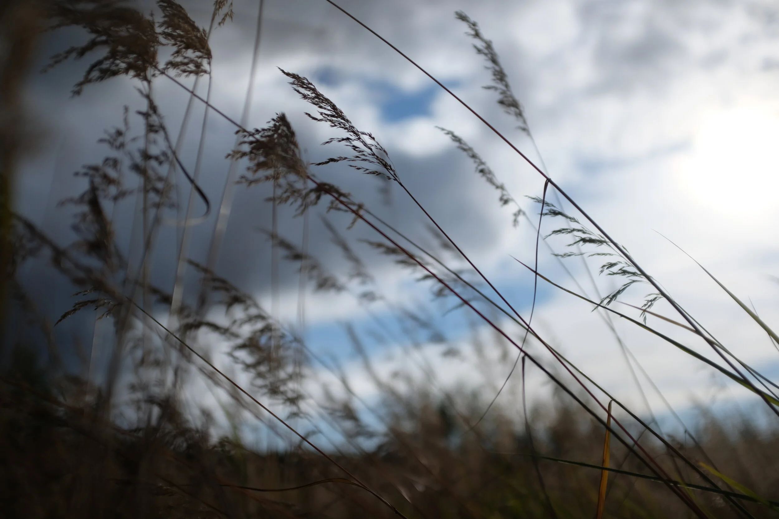 What the Bible Says About COVID