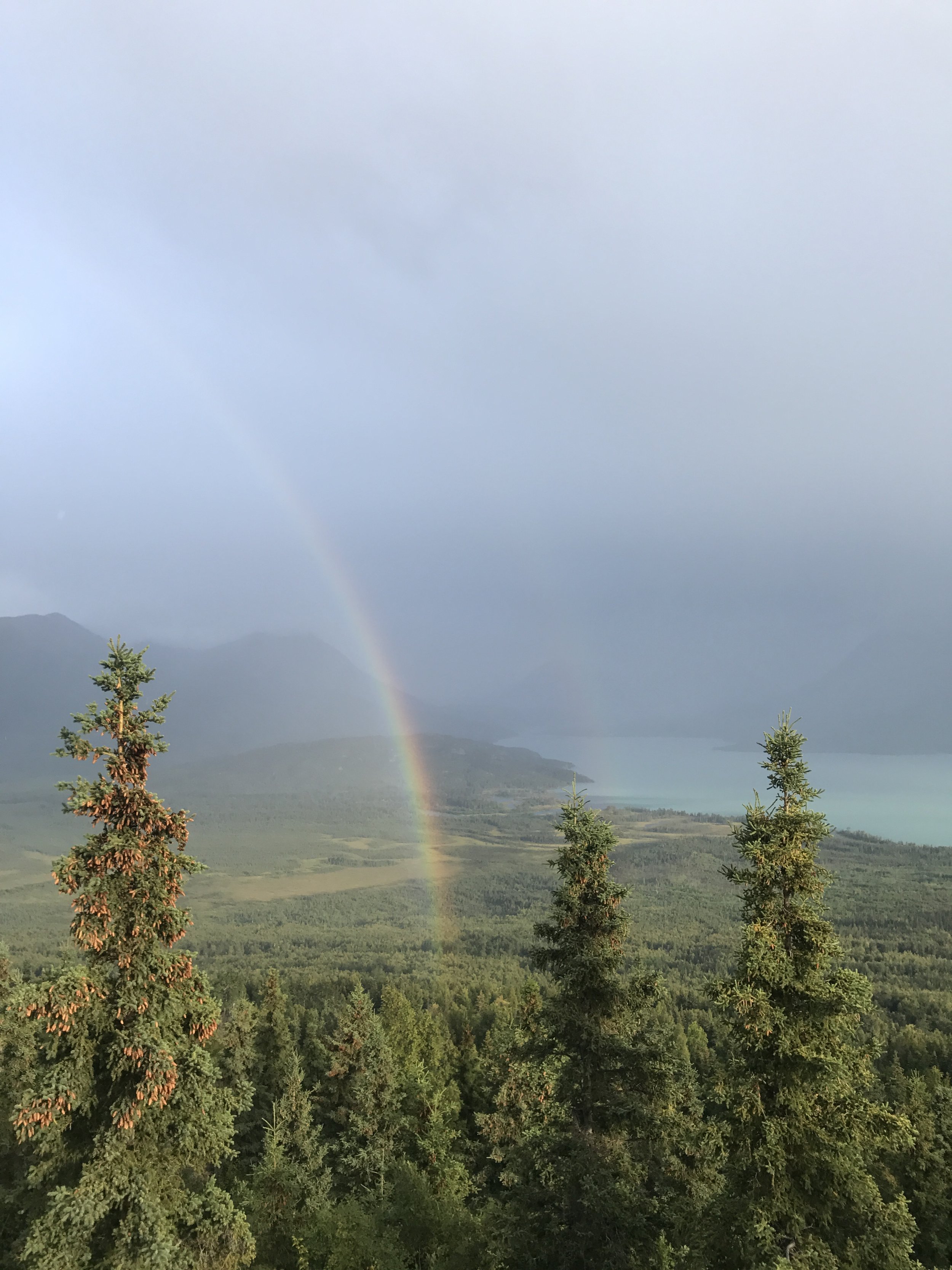 Judges Pt. 2 | Ross Atherton