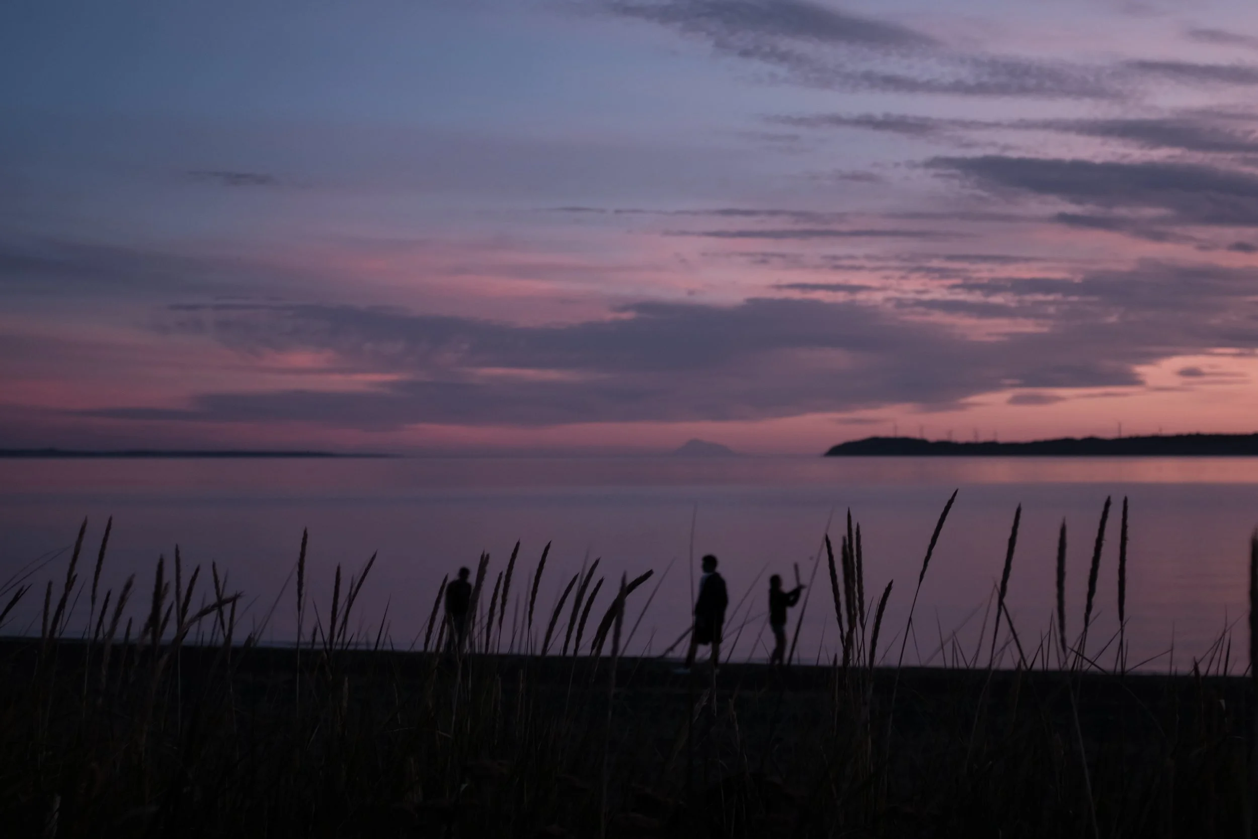 Ownership Sunday: 100% Participation