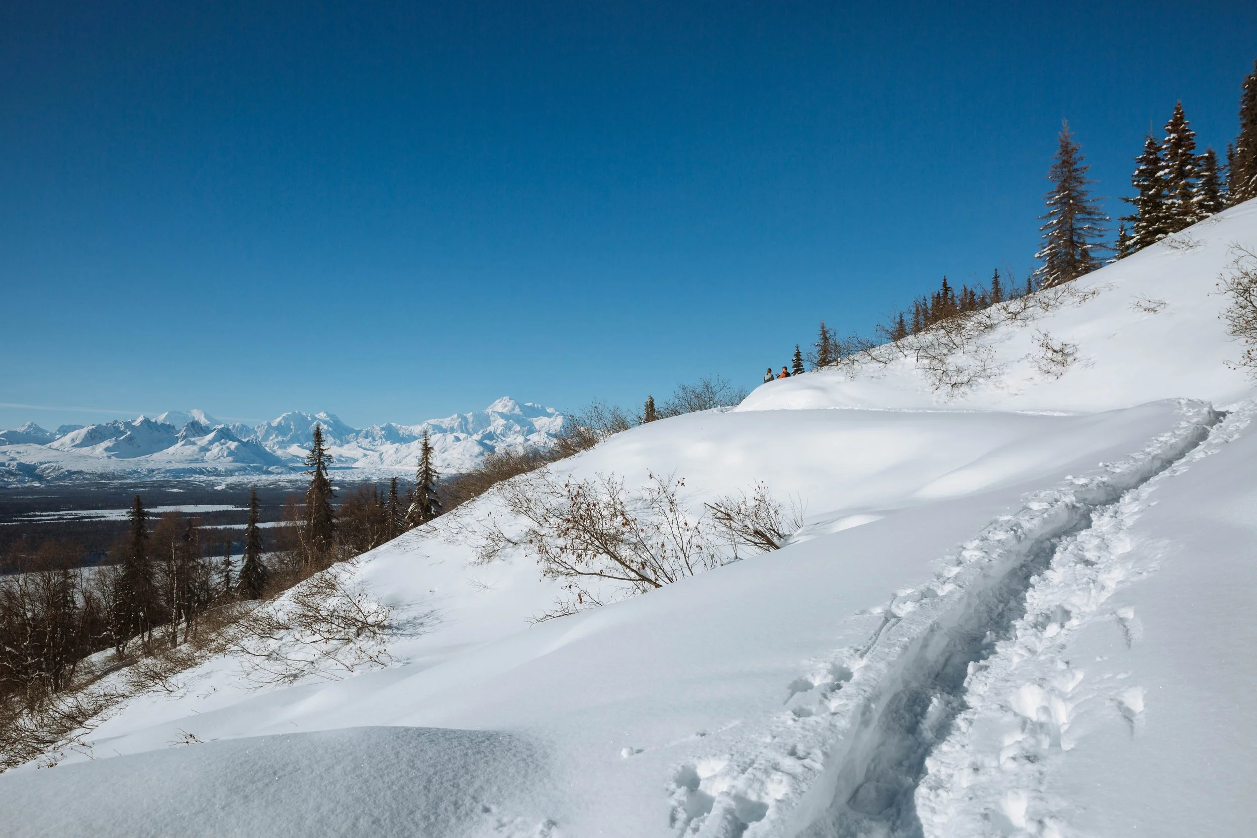 Revelation: Two Witnesses, One Virgin, and a Dragon | Revelation Pt. 6