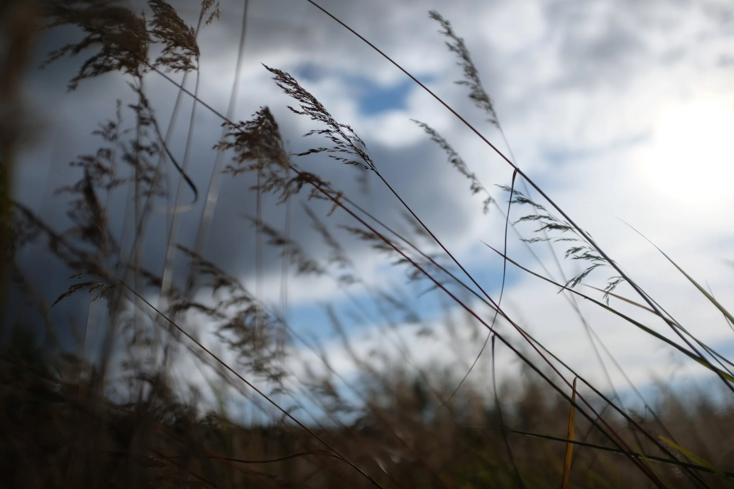 Is God Just by Allowing Evil?