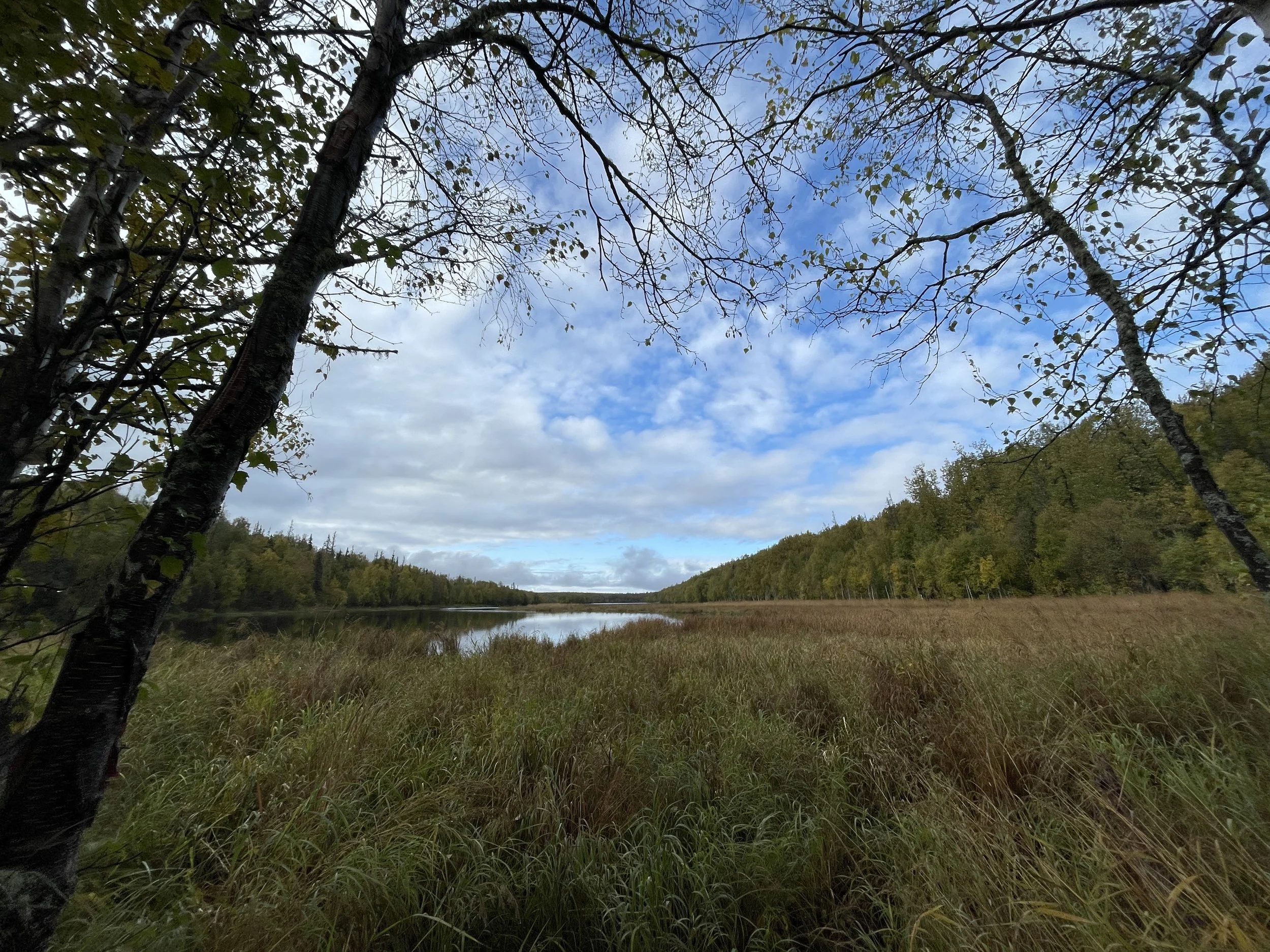 Take Ownership - Romans 12