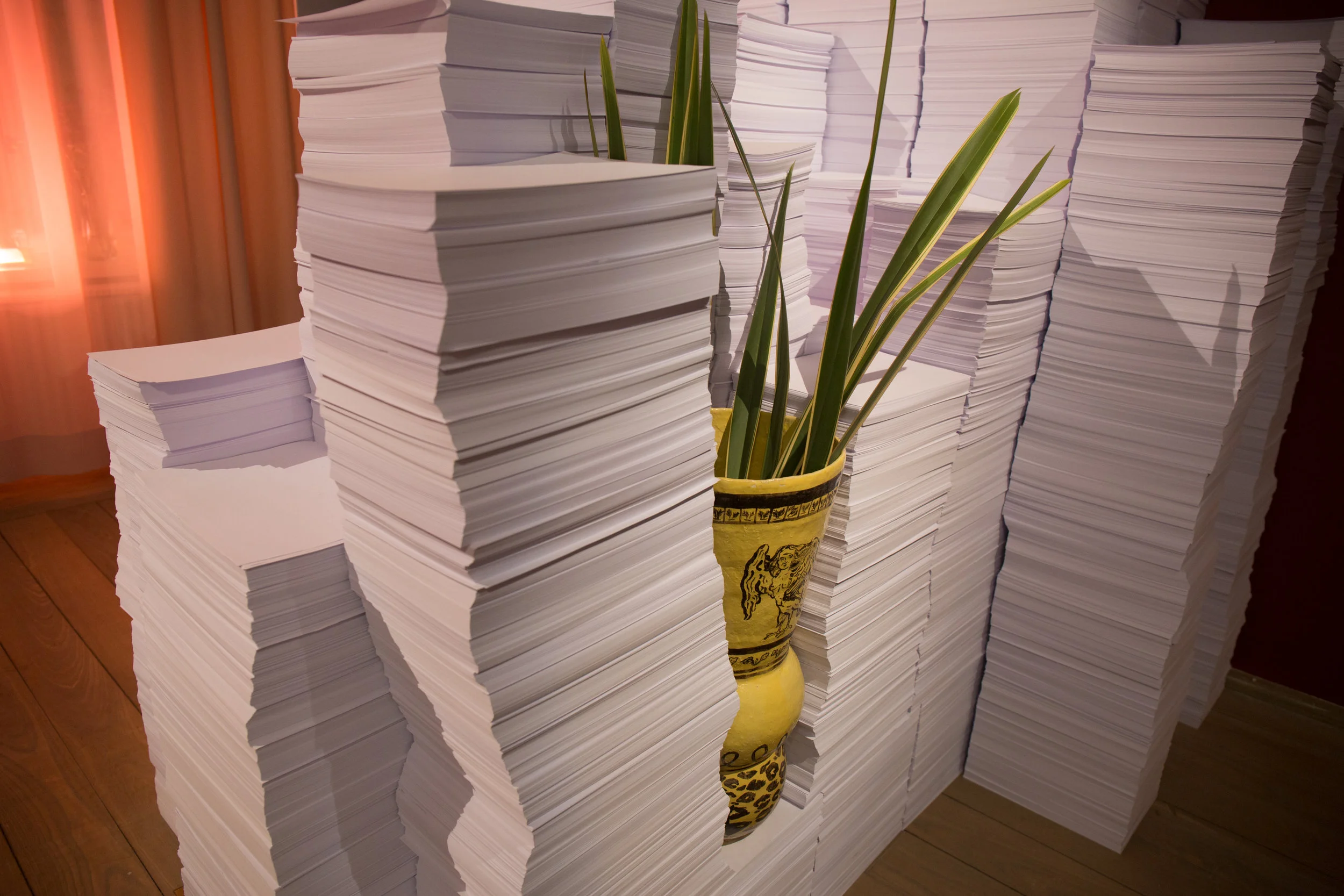 IMGL0407_1.jpg