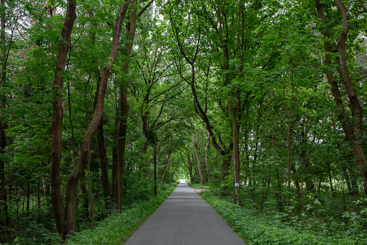 Wochenender-Kirchwerder-Naturpark-utagleiserphotography-2019-05-29CK5A8708.jpg