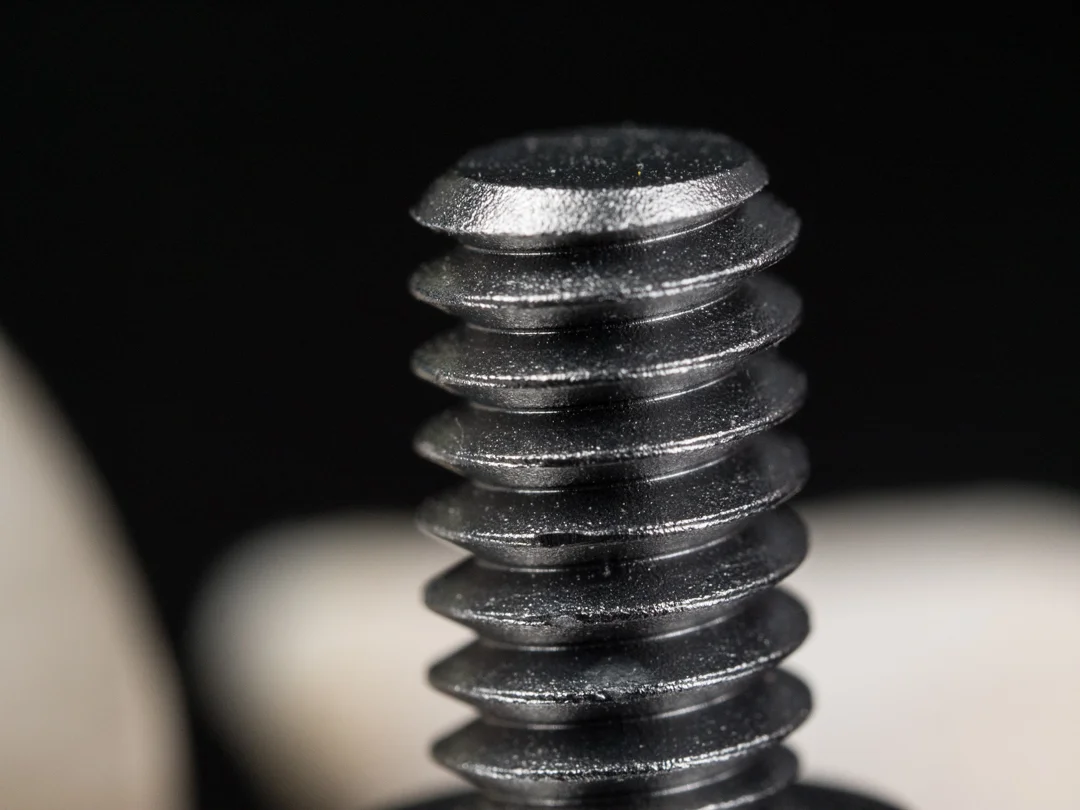 Olympus 60mm F2 8 Macro Review Photo Examples Micro Four Nerds olympus-60mm-f2-8-macro-review-photo-examples-micro-four-nerds