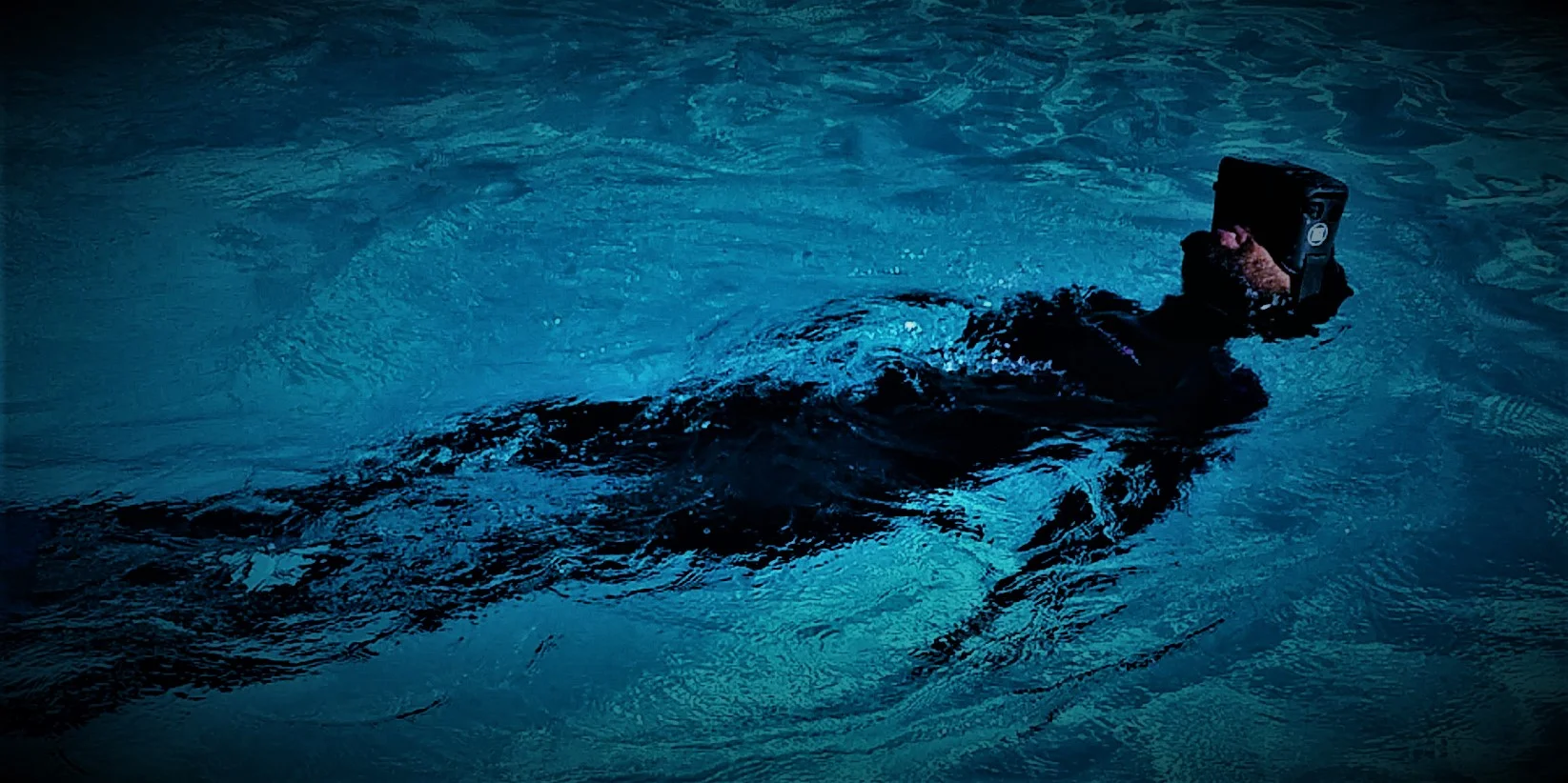 WaterVR (2).jpg