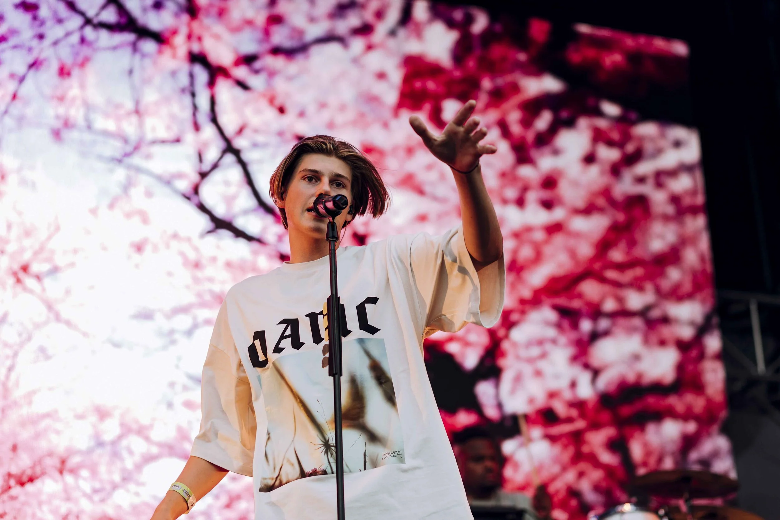 Ruel_Laneway-Festival-Adelaide-2020_credit-Lauren-Connelly-2.jpg