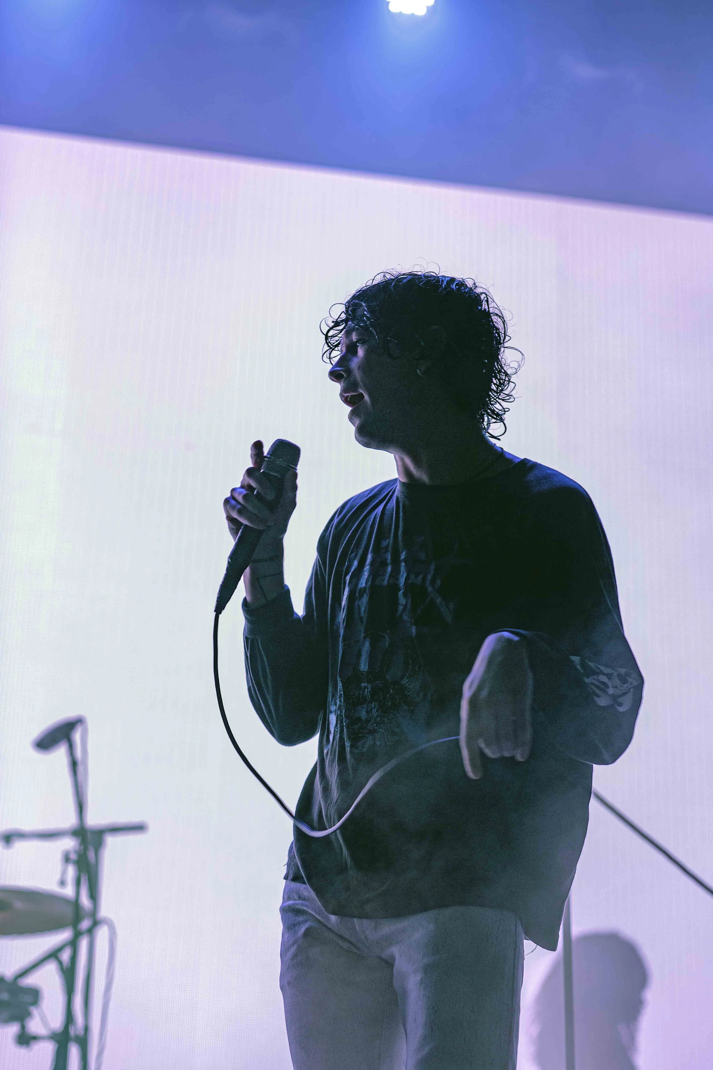 The1975_Laneway-Festival-Adelaide-2020_credit-Lauren-Connelly-6.jpg