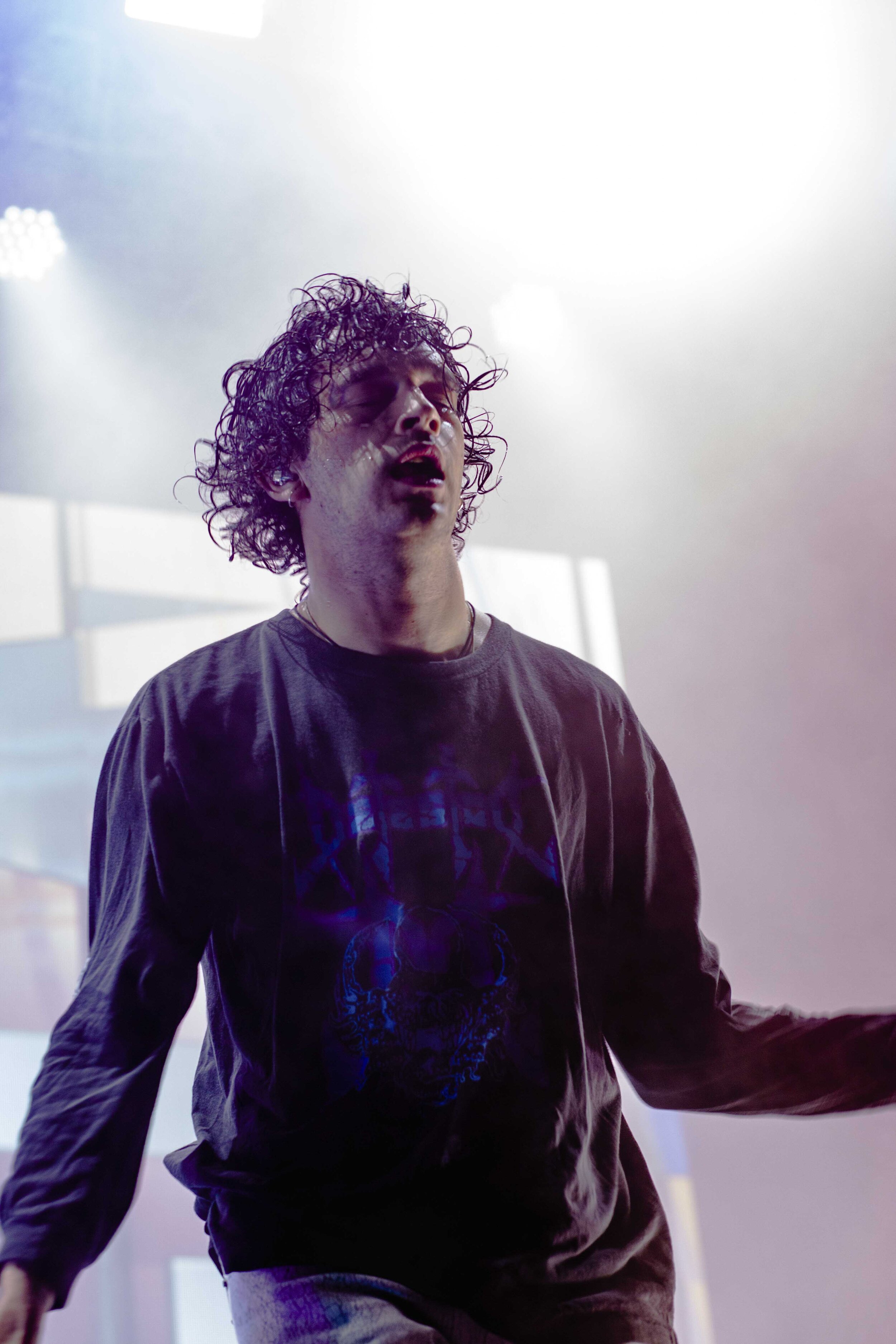 The1975_Laneway-Festival-Adelaide-2020_credit-Lauren-Connelly-7.jpg
