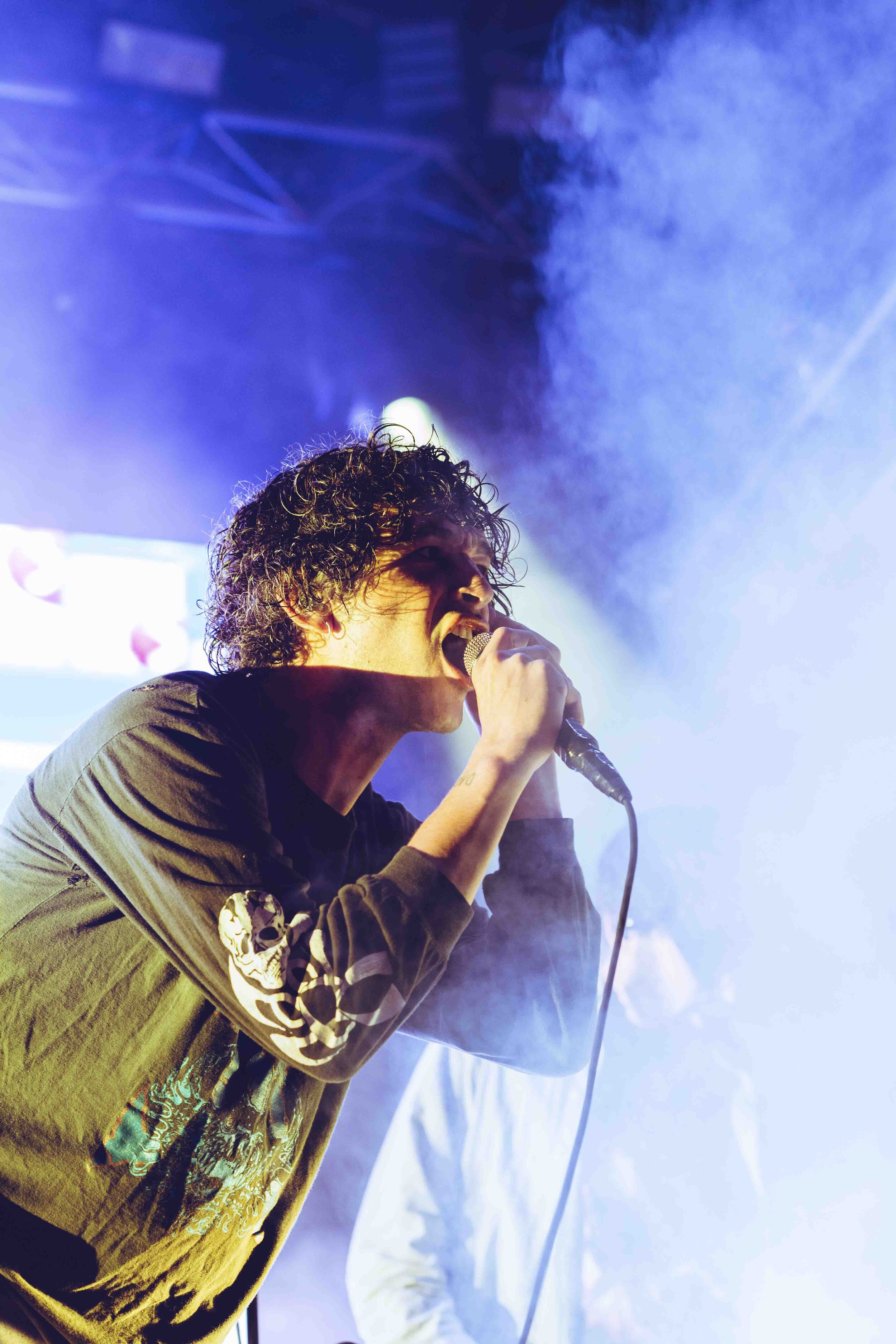 The1975_Laneway-Festival-Adelaide-2020_credit-Lauren-Connelly-8.jpg