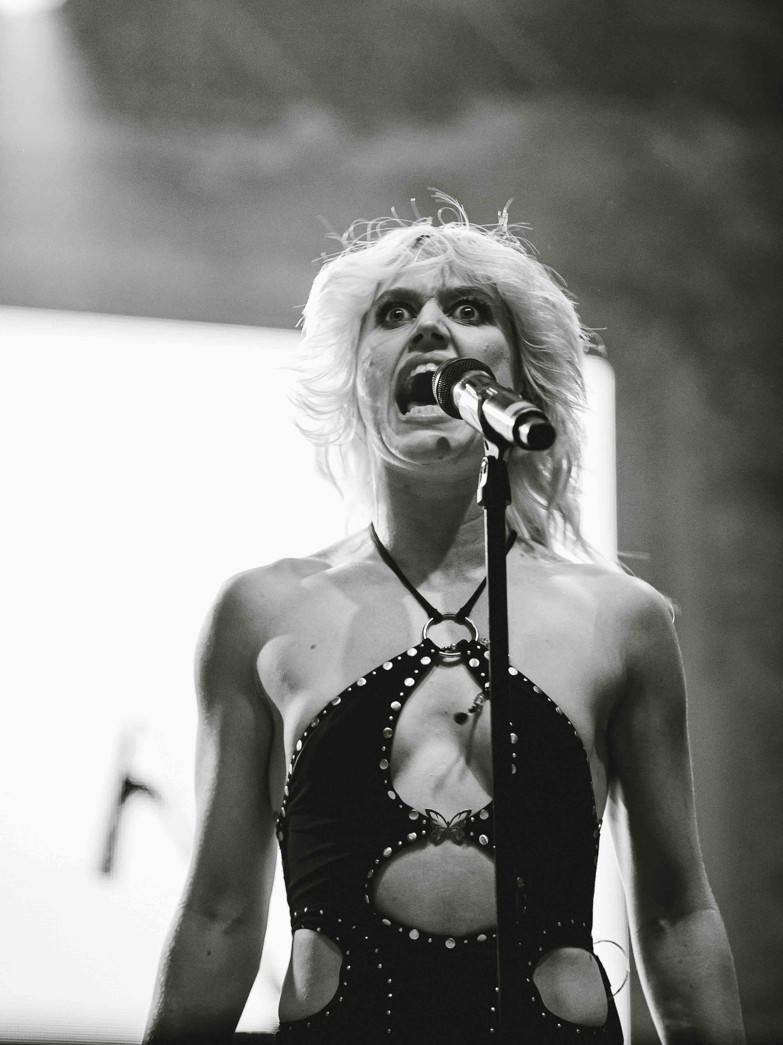 AMYL AND THE SNIFFERS