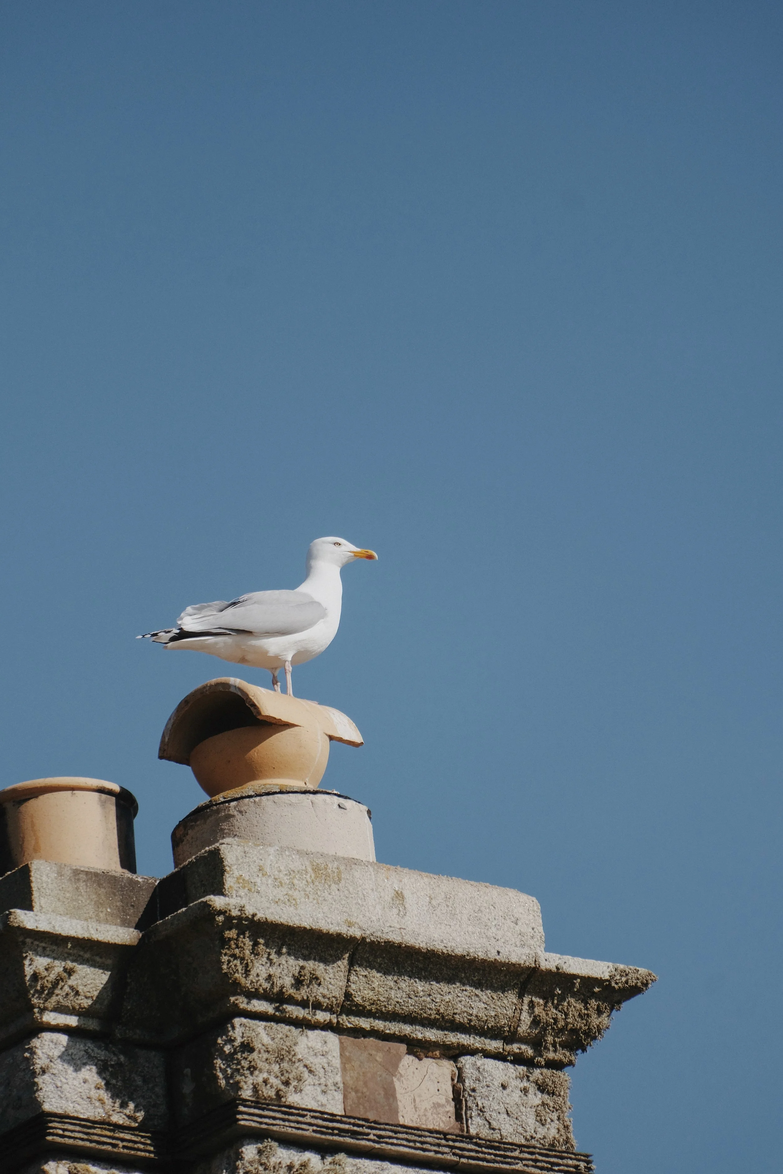 Photo 01-03-2025_ 11 39 06.jpg