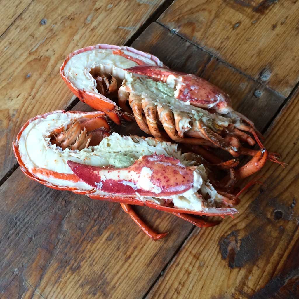 Lymington Lobster