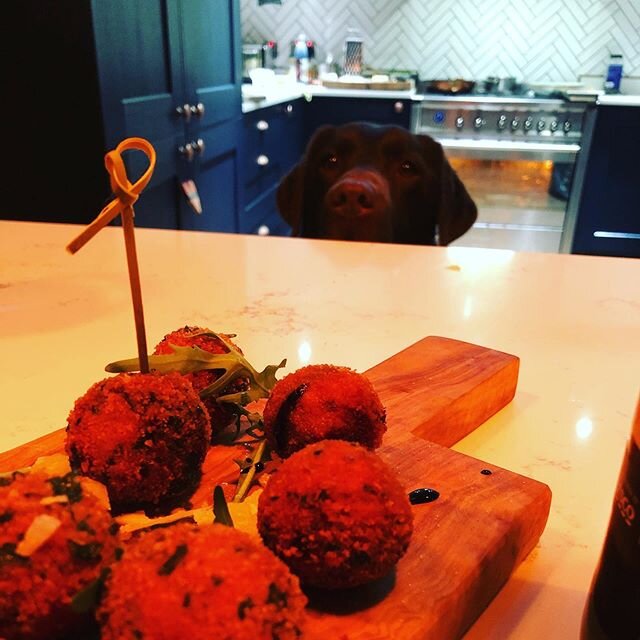 Had a date night in last night, the boss wanted mushroom arancini so did Bear by the looks of it