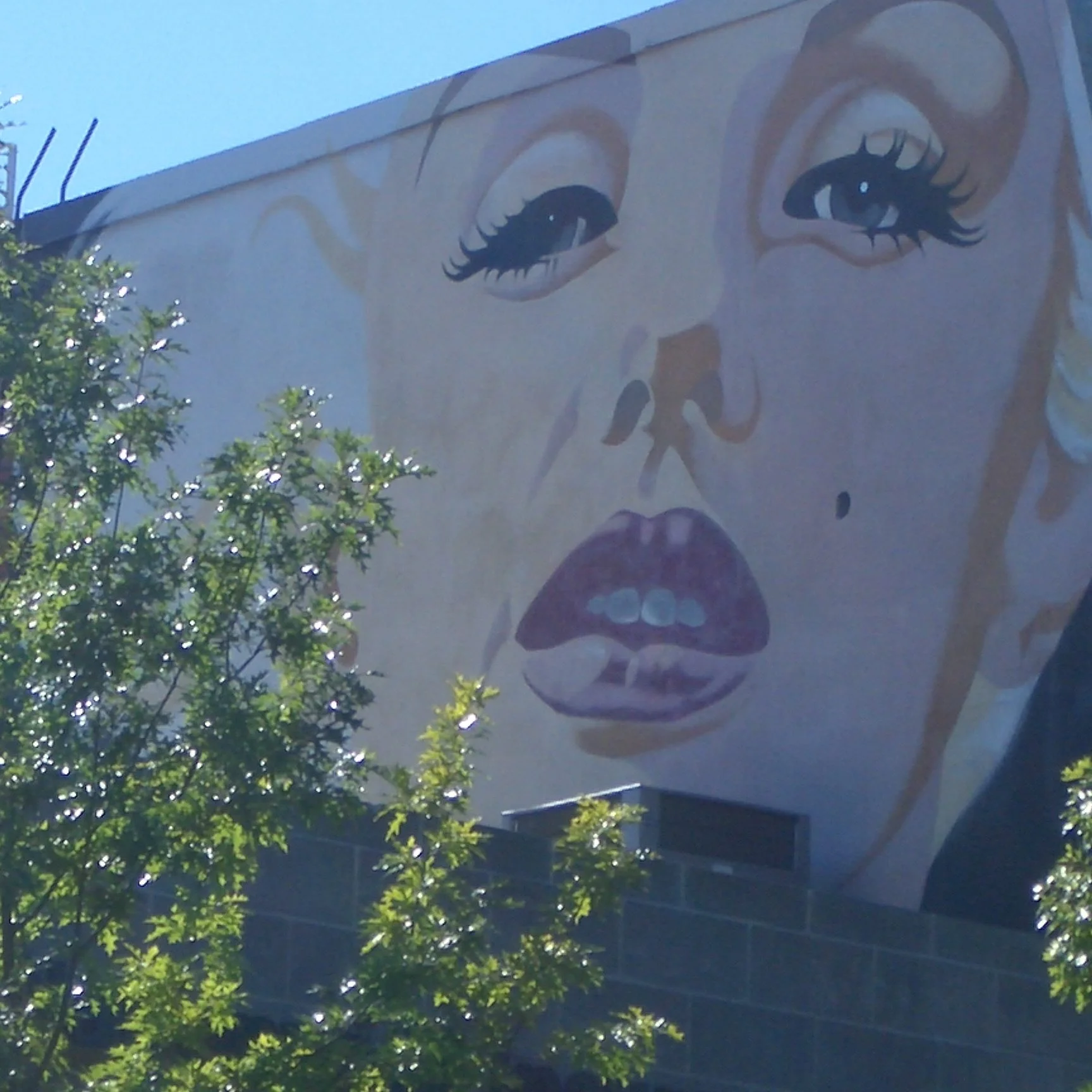 Murals of Washington