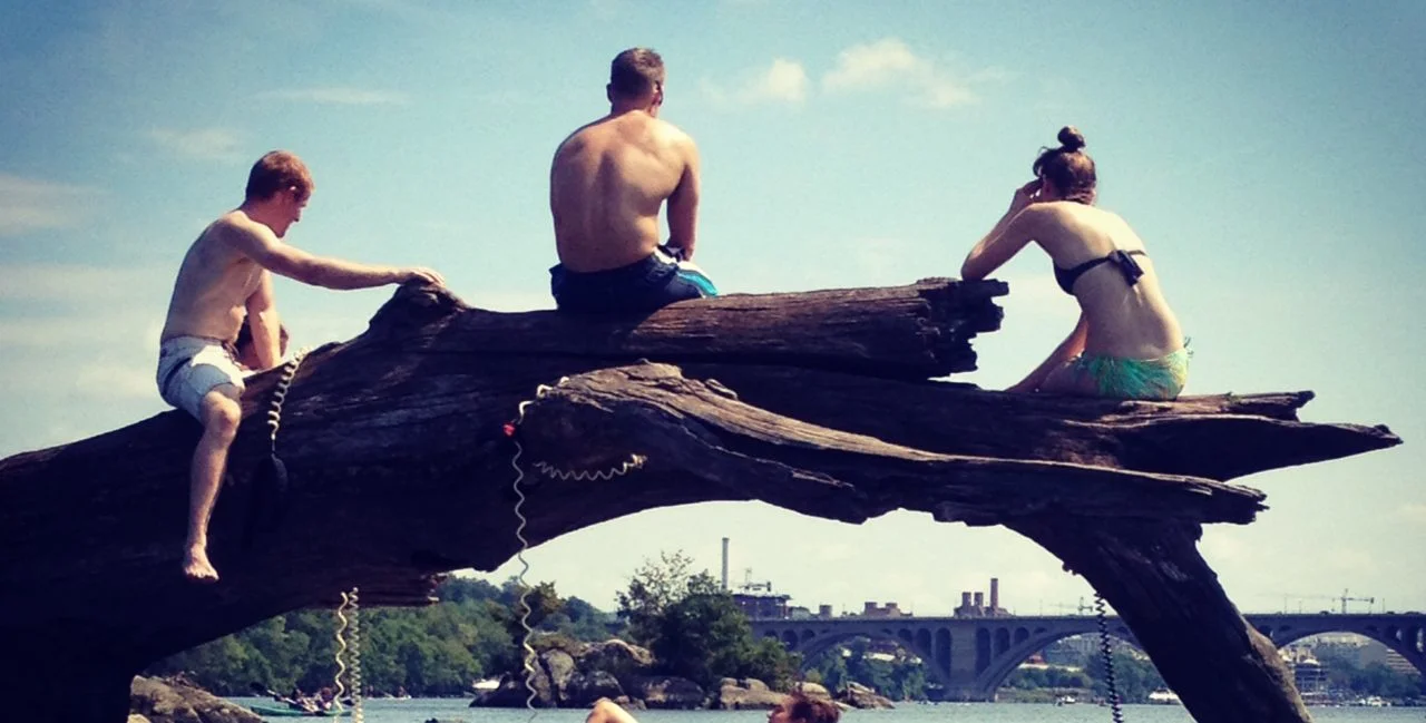 Endless Summer, DC-Style