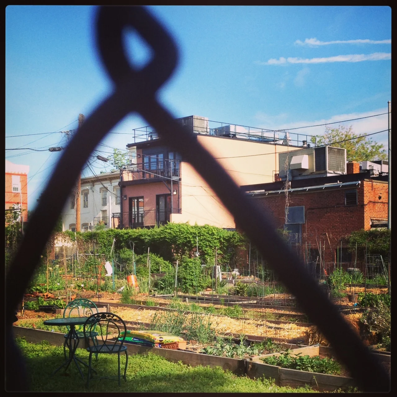 A City's Shared Gardens