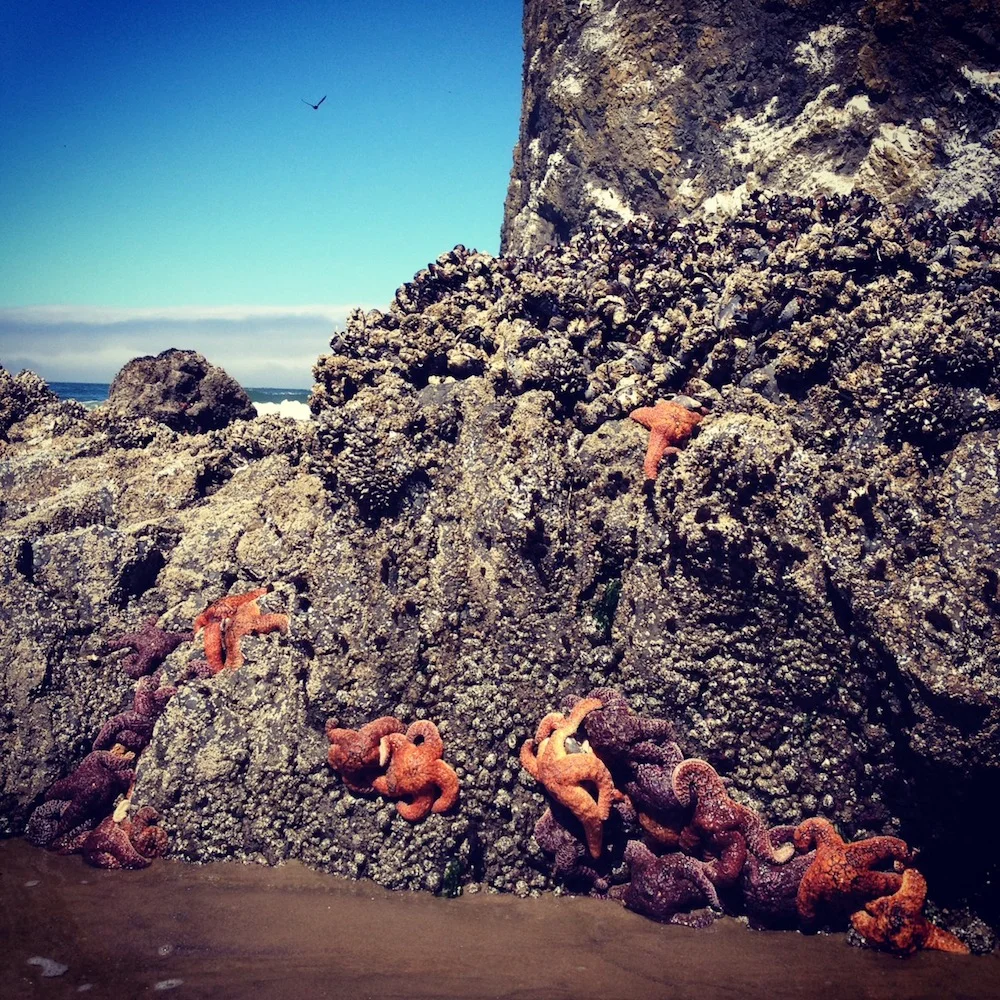 After Some Time Away