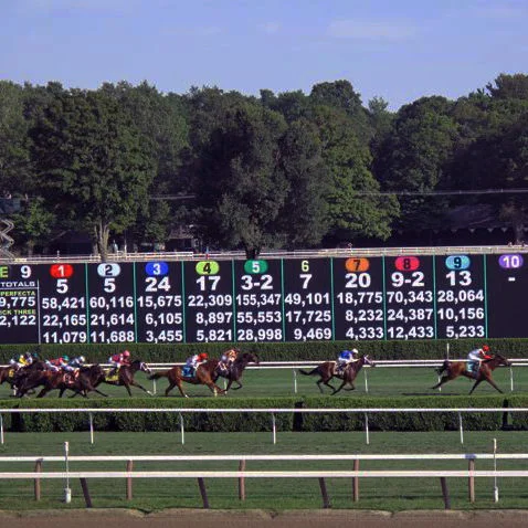 Repeat Travel: August in Saratoga