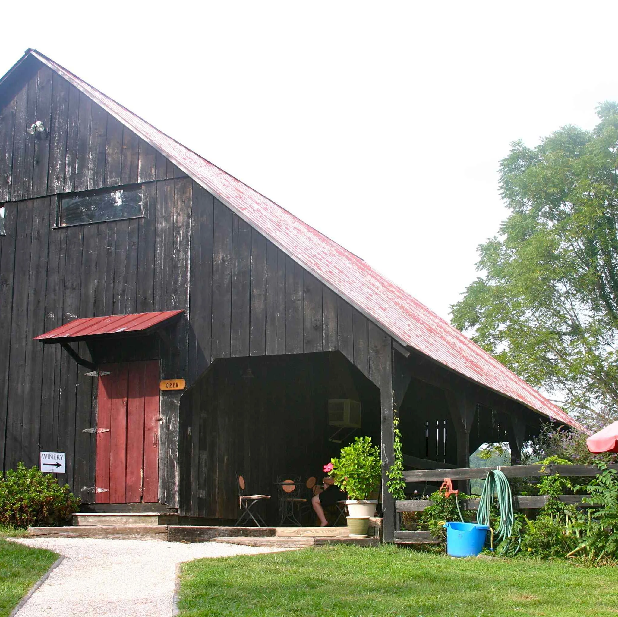 Miles From Monday: Virginia Vineyards