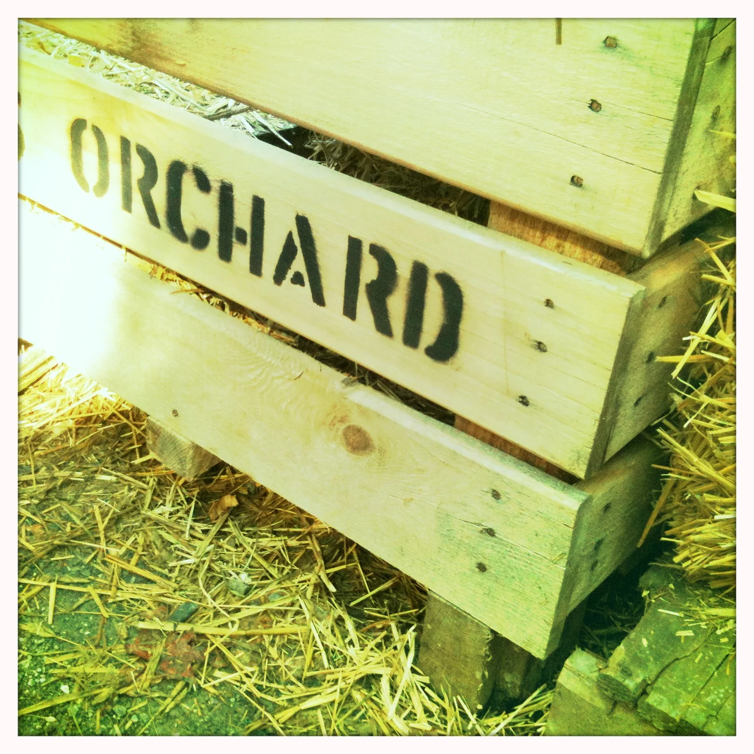 The Ultimate Commitment to Place