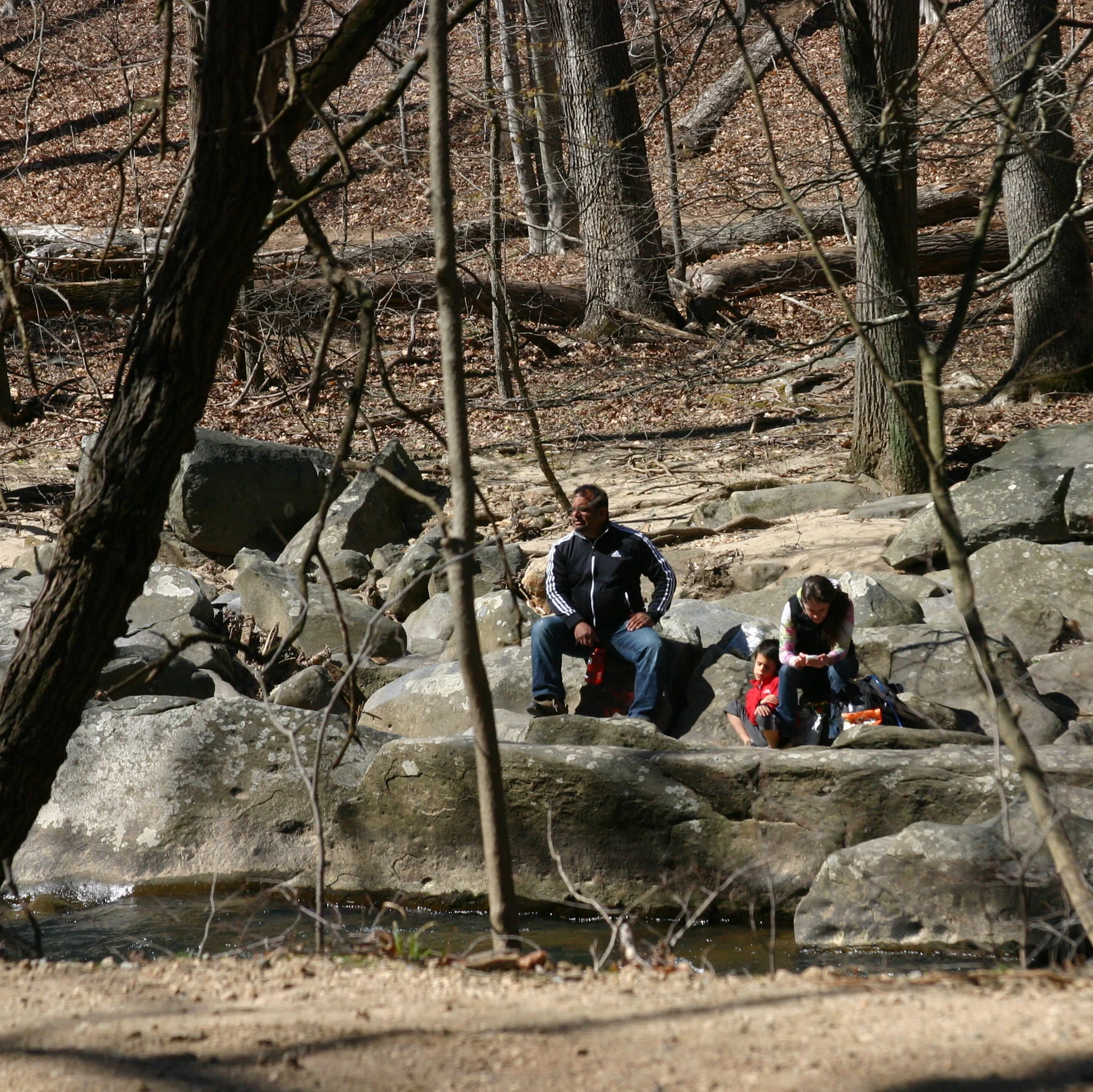 Wilderness in the City: Rock Creek Park