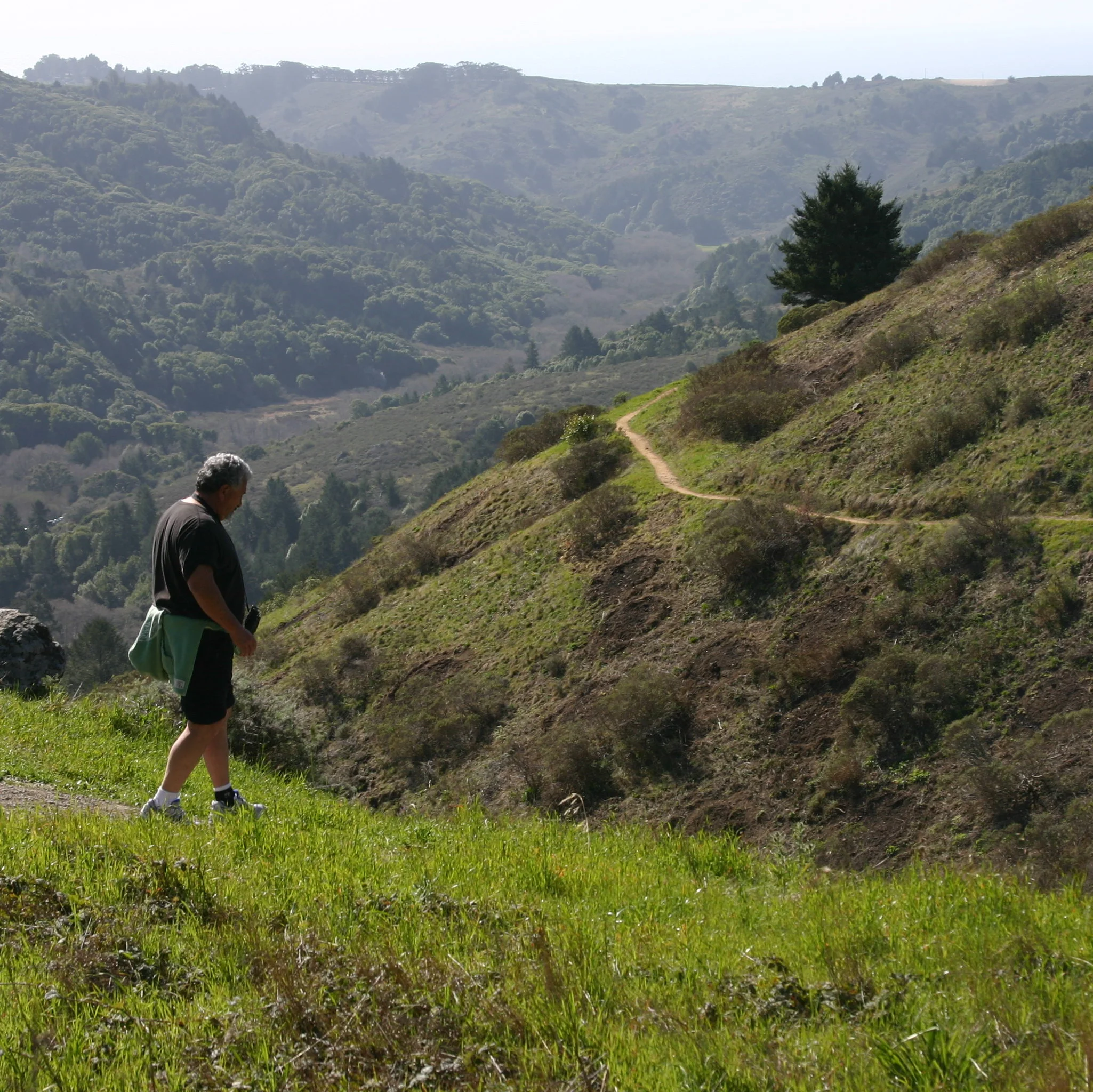 On The Slopes of Mt. Tam