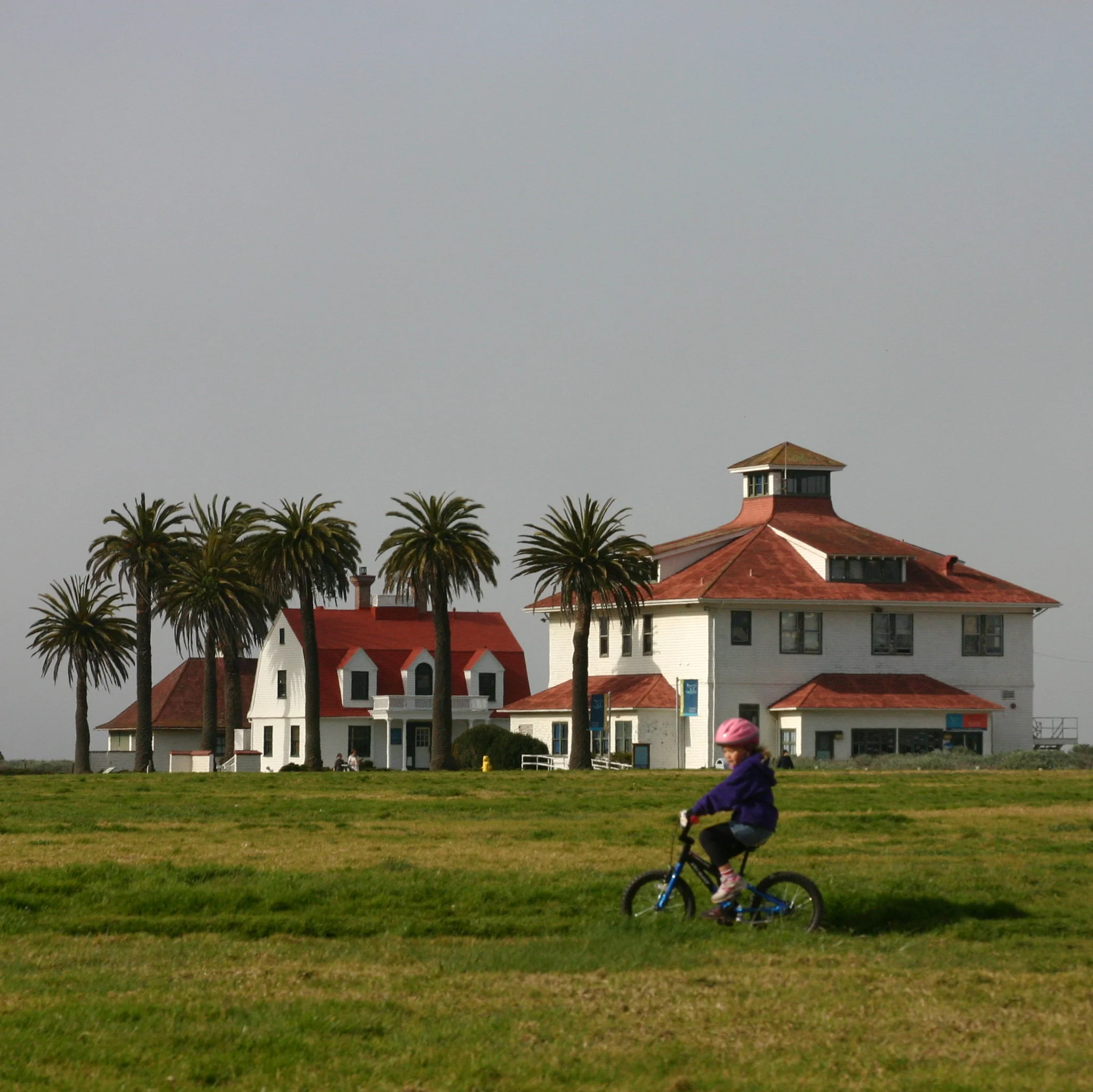 Finding Balance in San Francisco