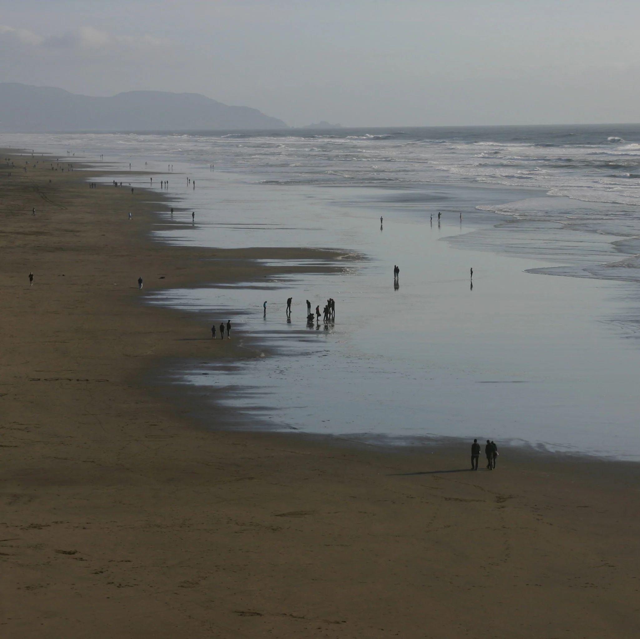 Coastal Grays: Pacific Edition