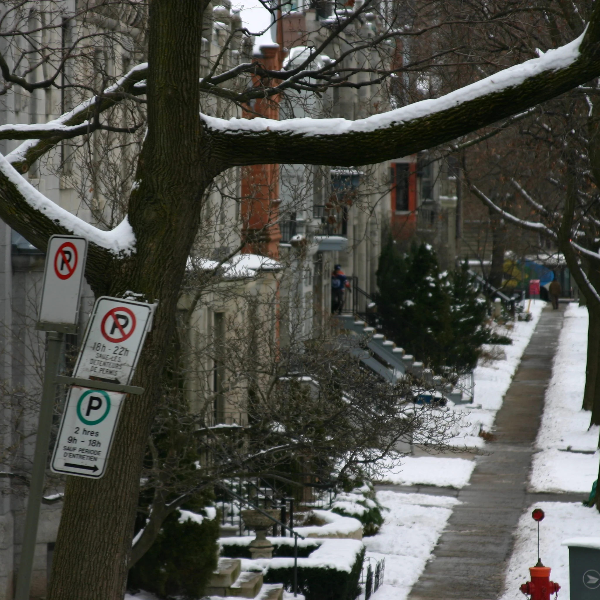 Montreal: Snapshots of Westmount