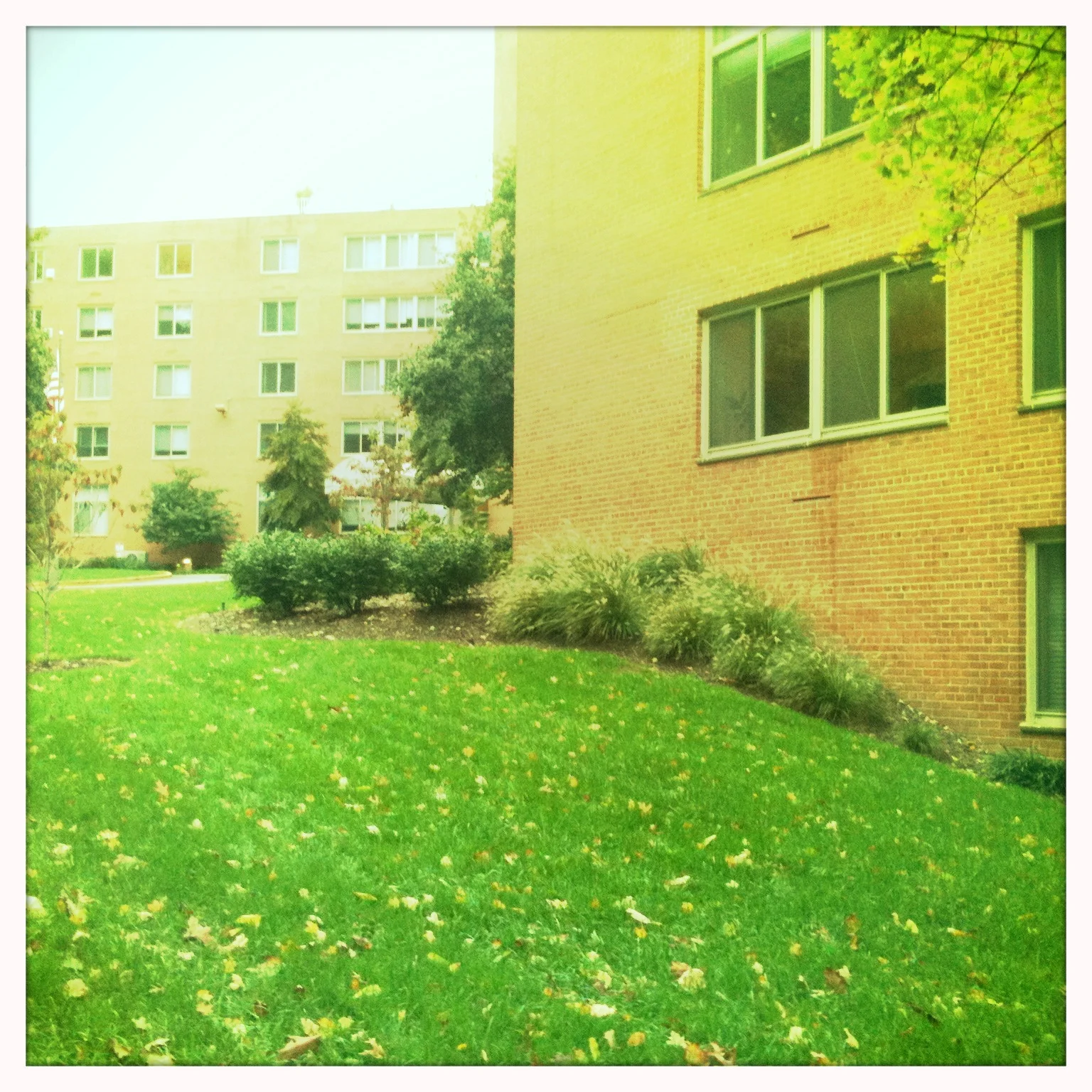 Good Morning, Doorman