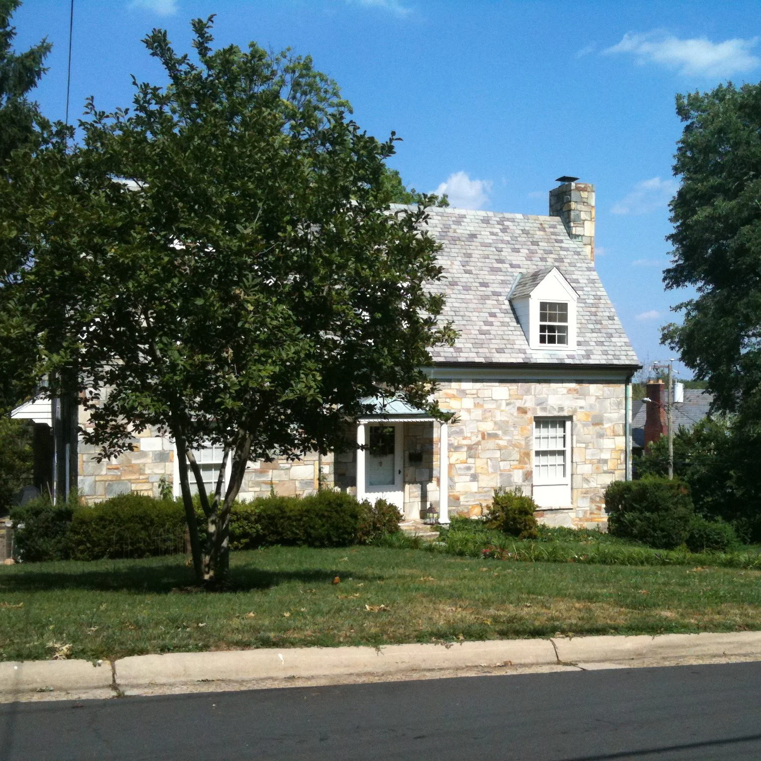 Memory Lane: Arlington