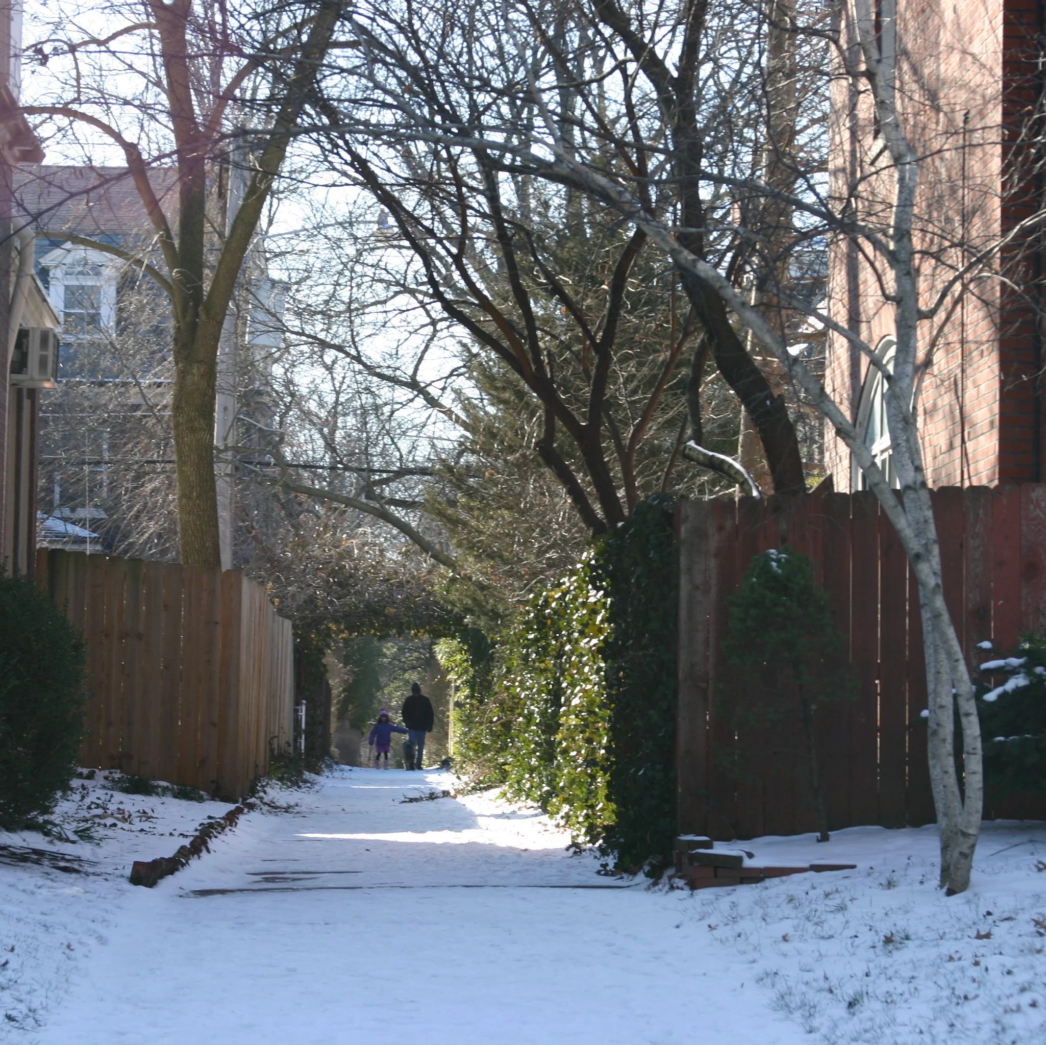 From The Delmar Loop to Lafayette Square