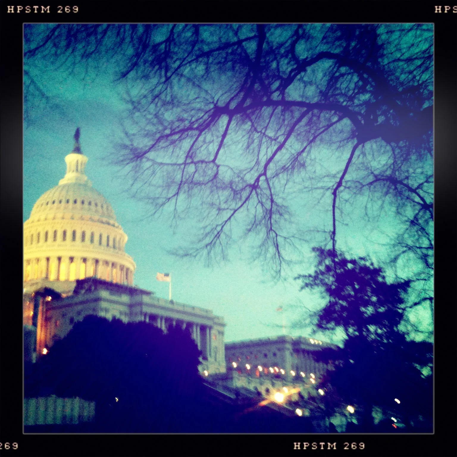 Perfectly Typical Capitol Hill