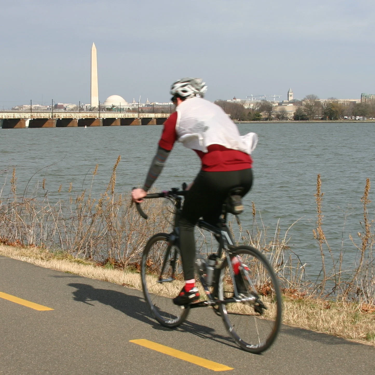 Observations By Bicycle