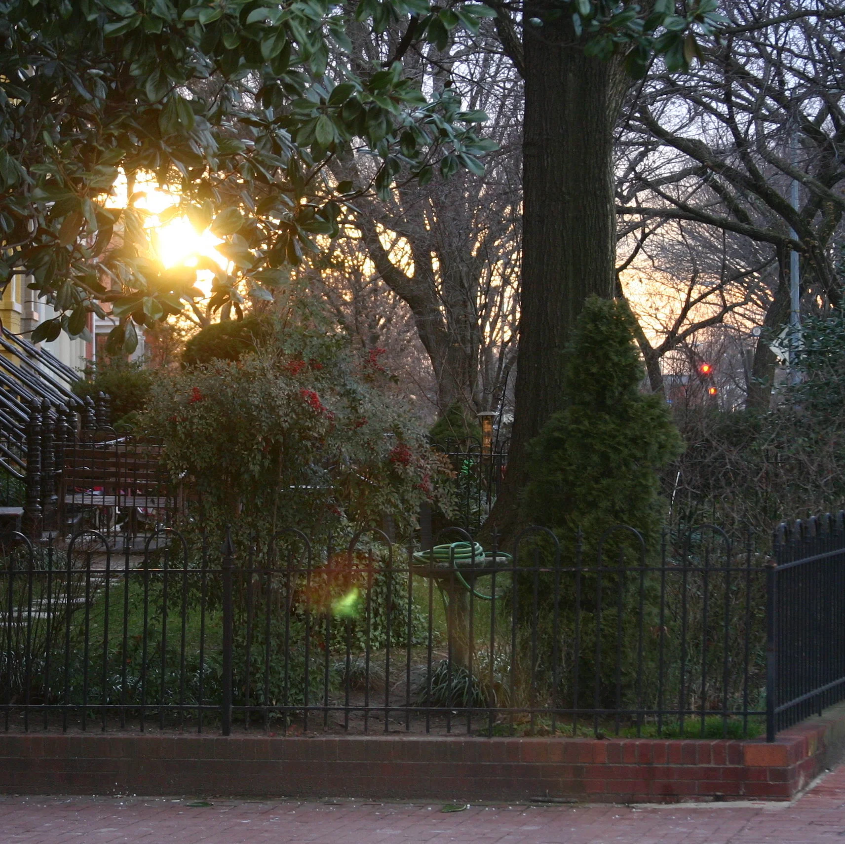 Hidden Beauty & Unnoticed Oddities