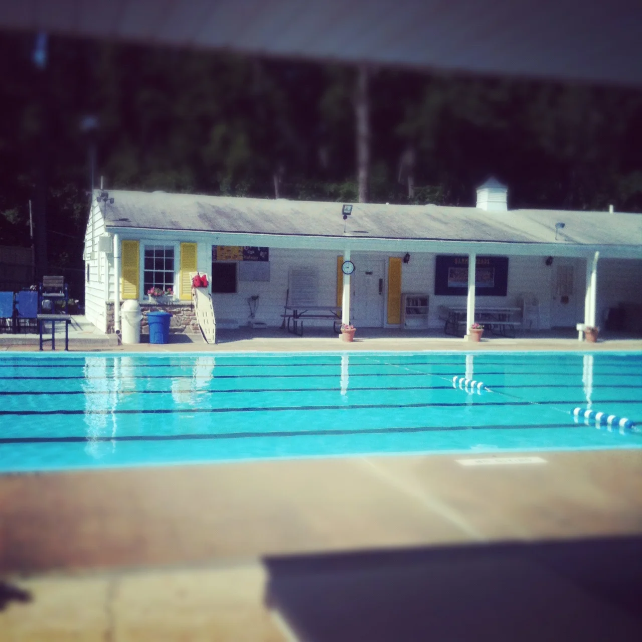 Map of Mornings: The Road to Hampton Pool