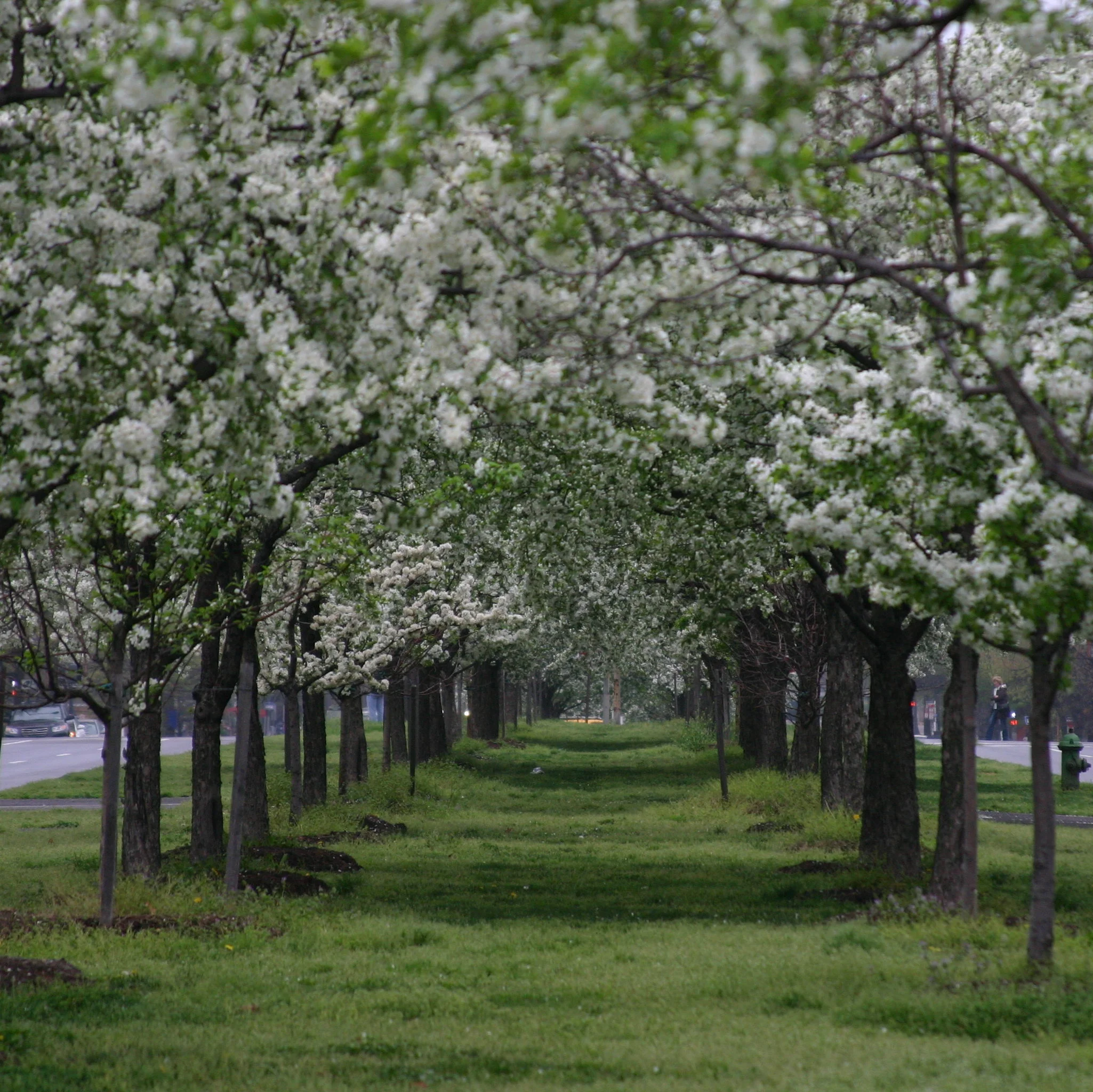 City Spaces, Wishful Thinking