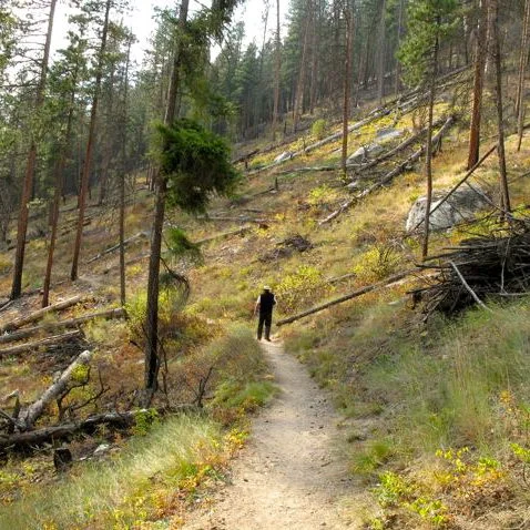 Miles from Monday: Beginning In Montana